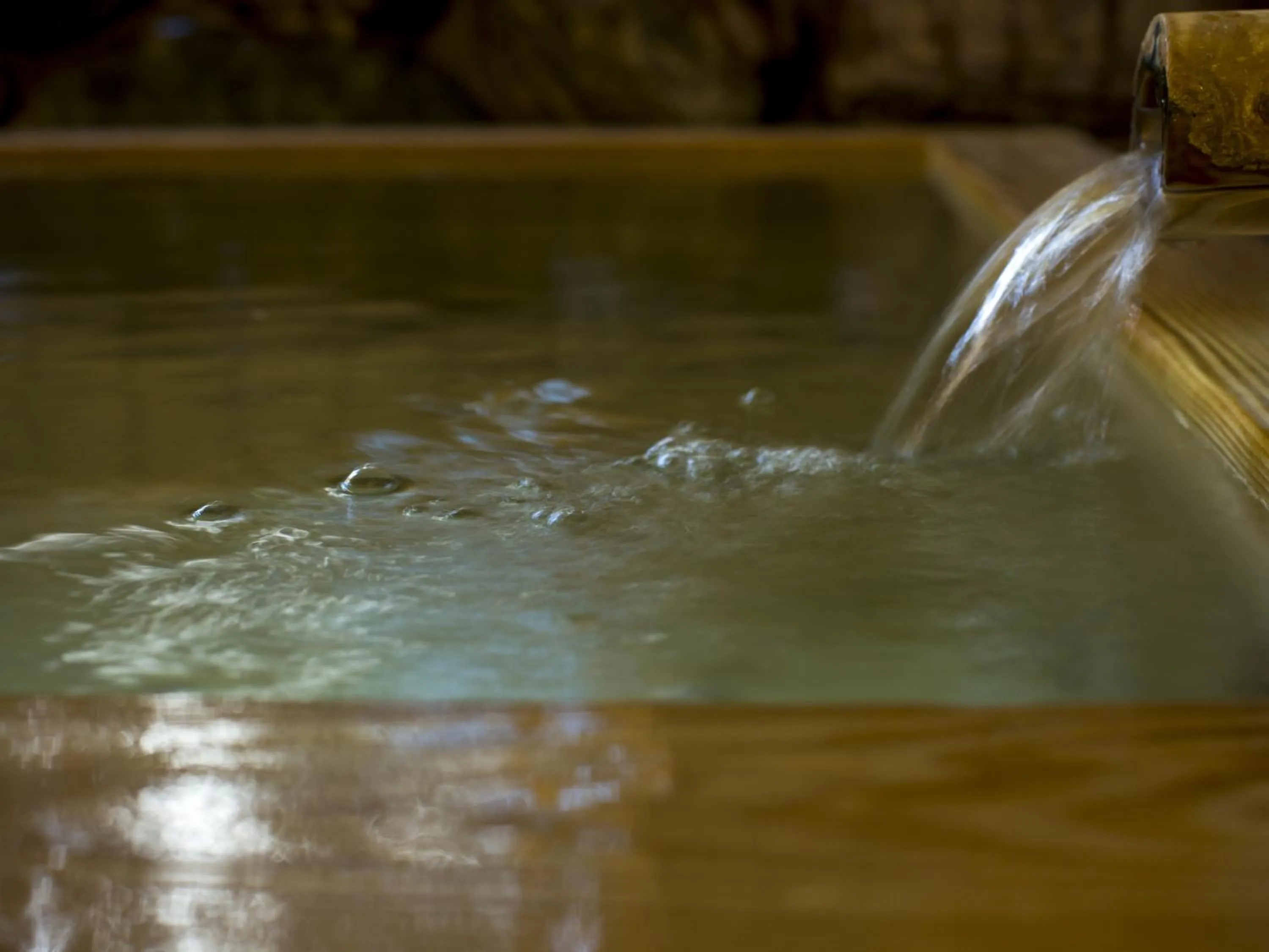 Decorative detail in Hashinoya Bekkan Ransui