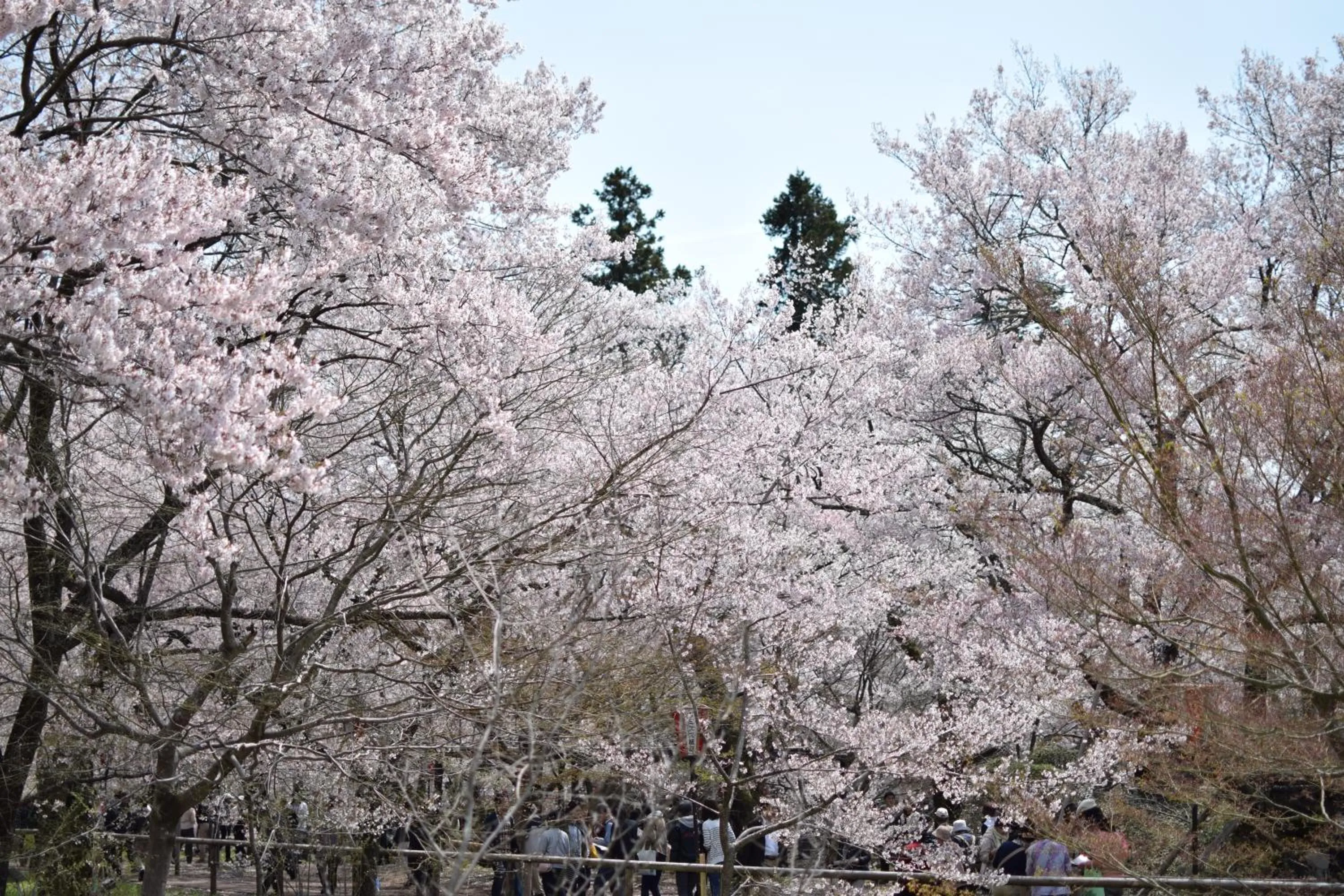 Nearby landmark in Hotel Yamabuki
