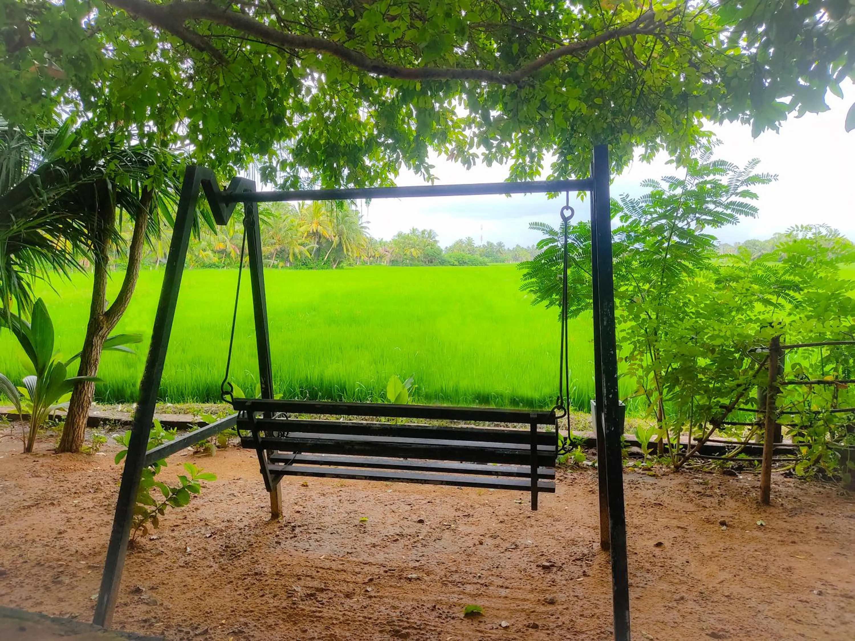 V Cabanas Yala Safari Place