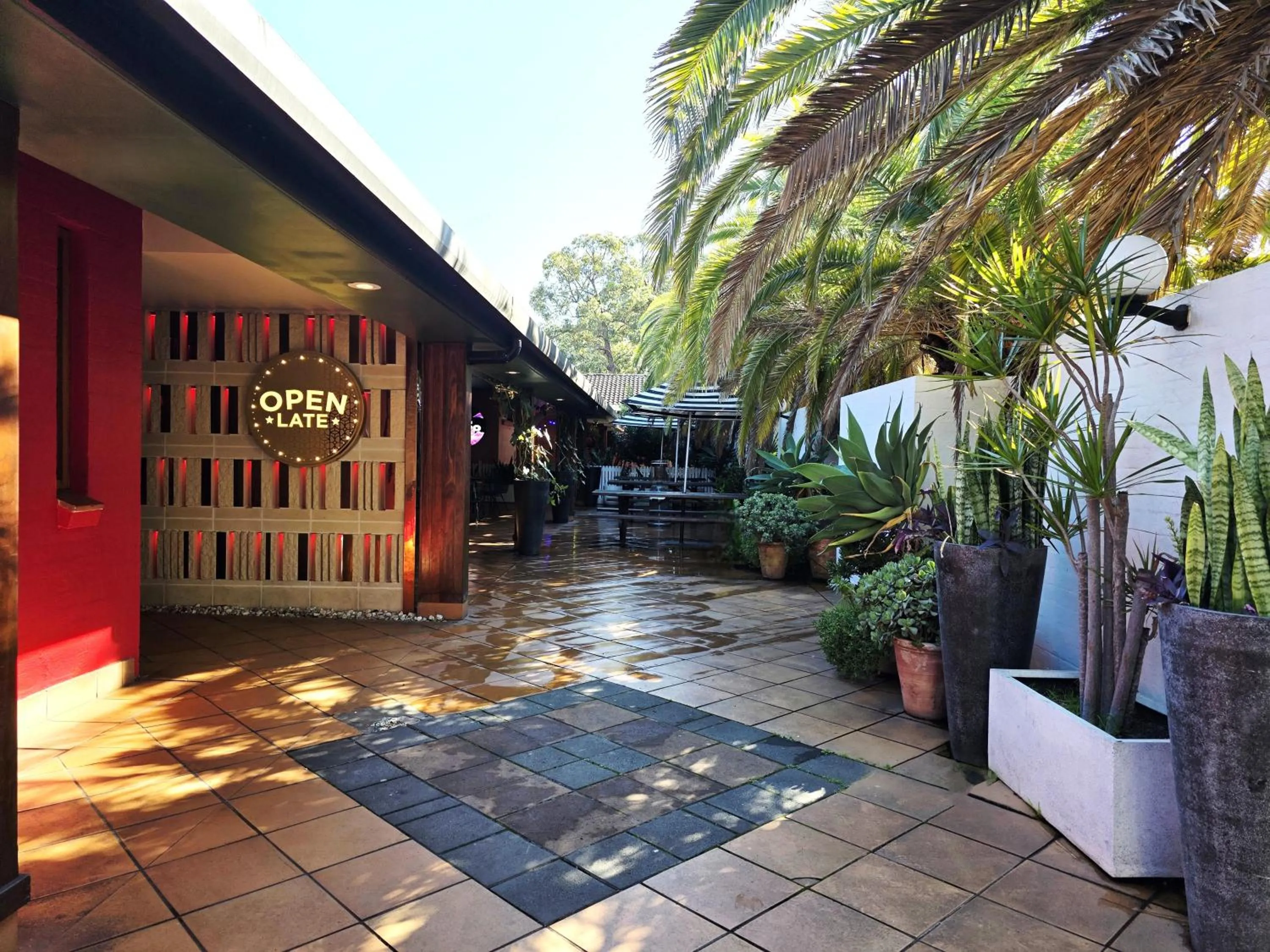 Garden in El Toro Motel