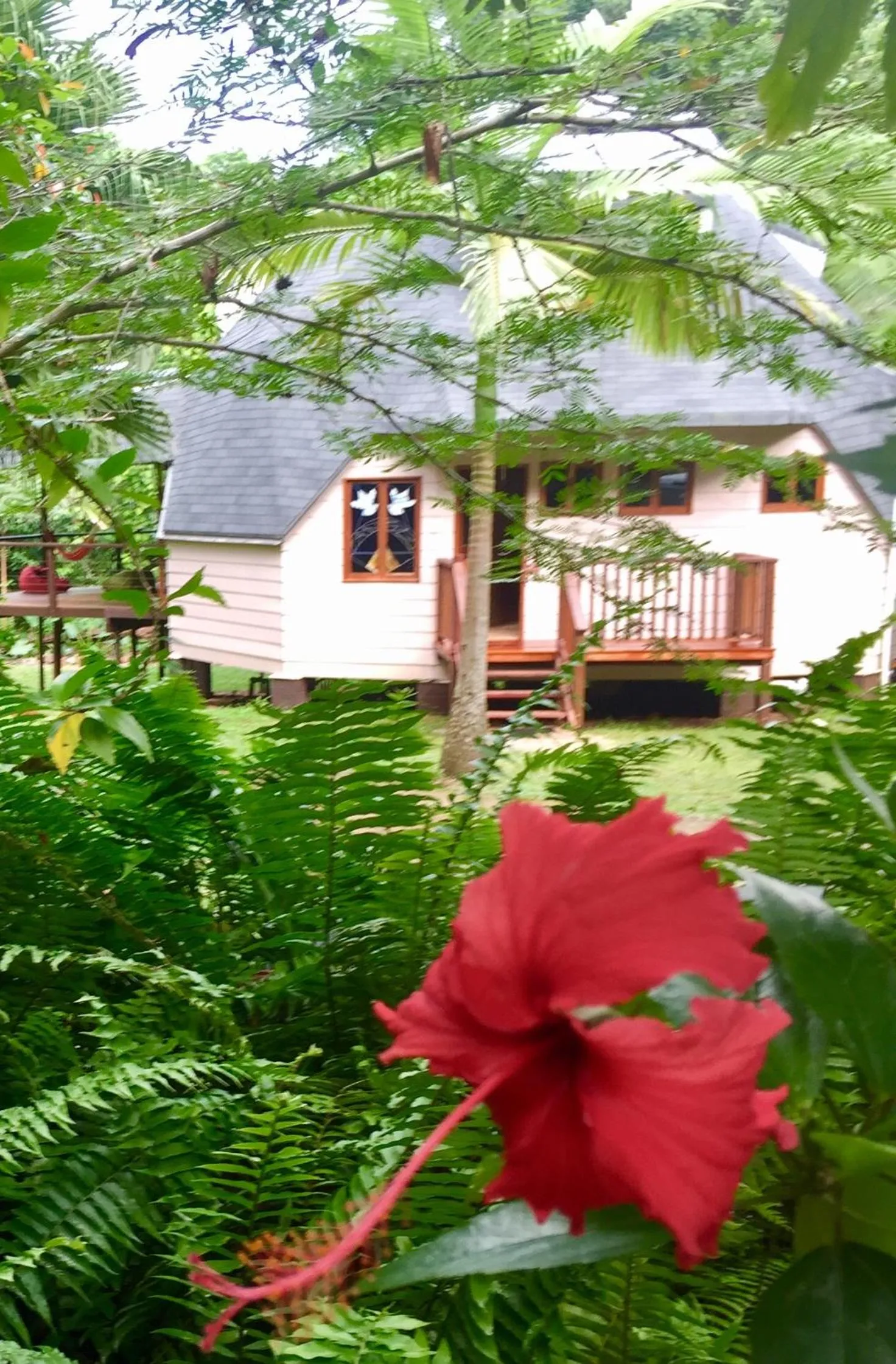 Cape Tribulation Holiday House