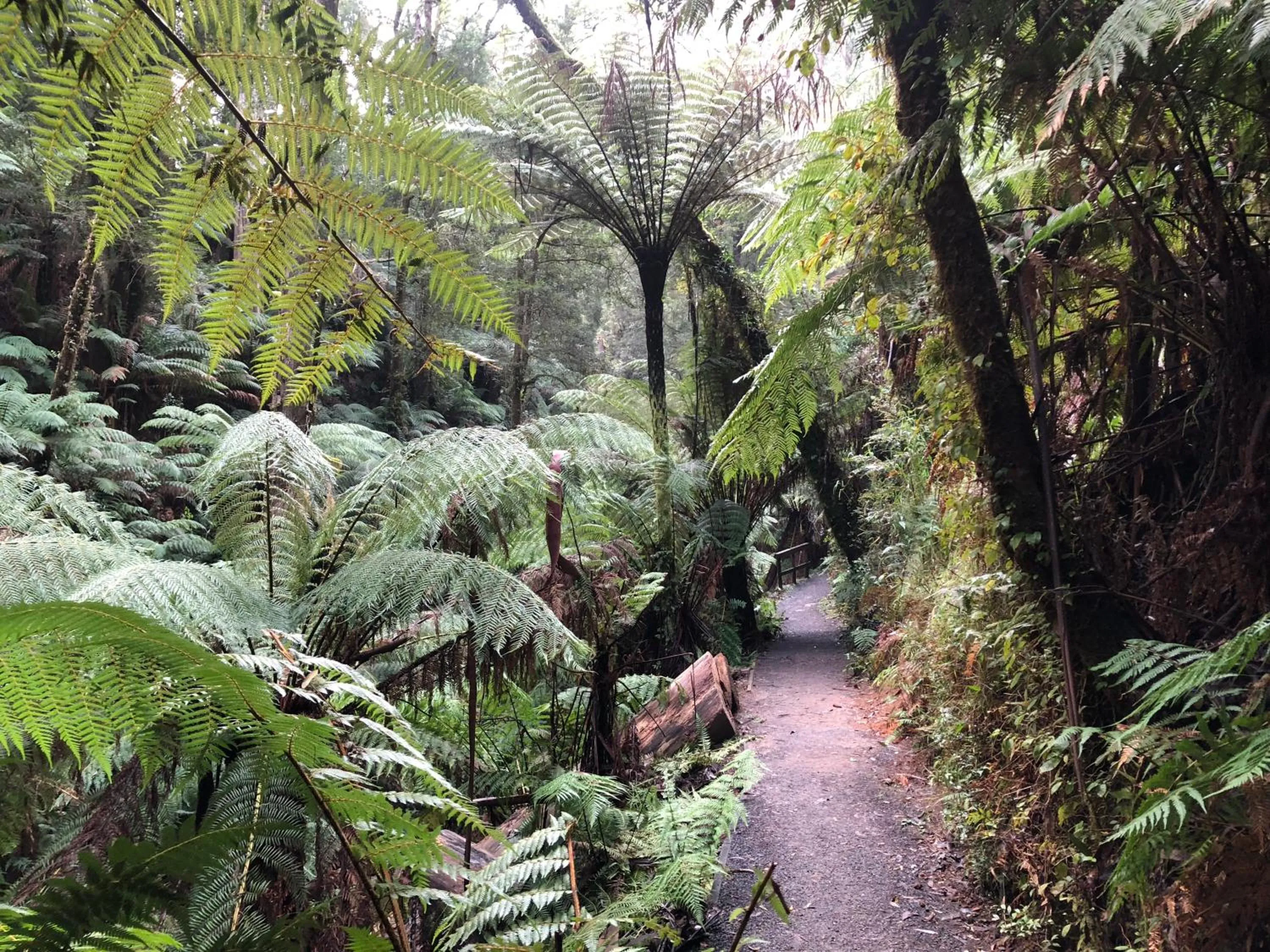 Natural landscape in Ship Inn Motel Yarram