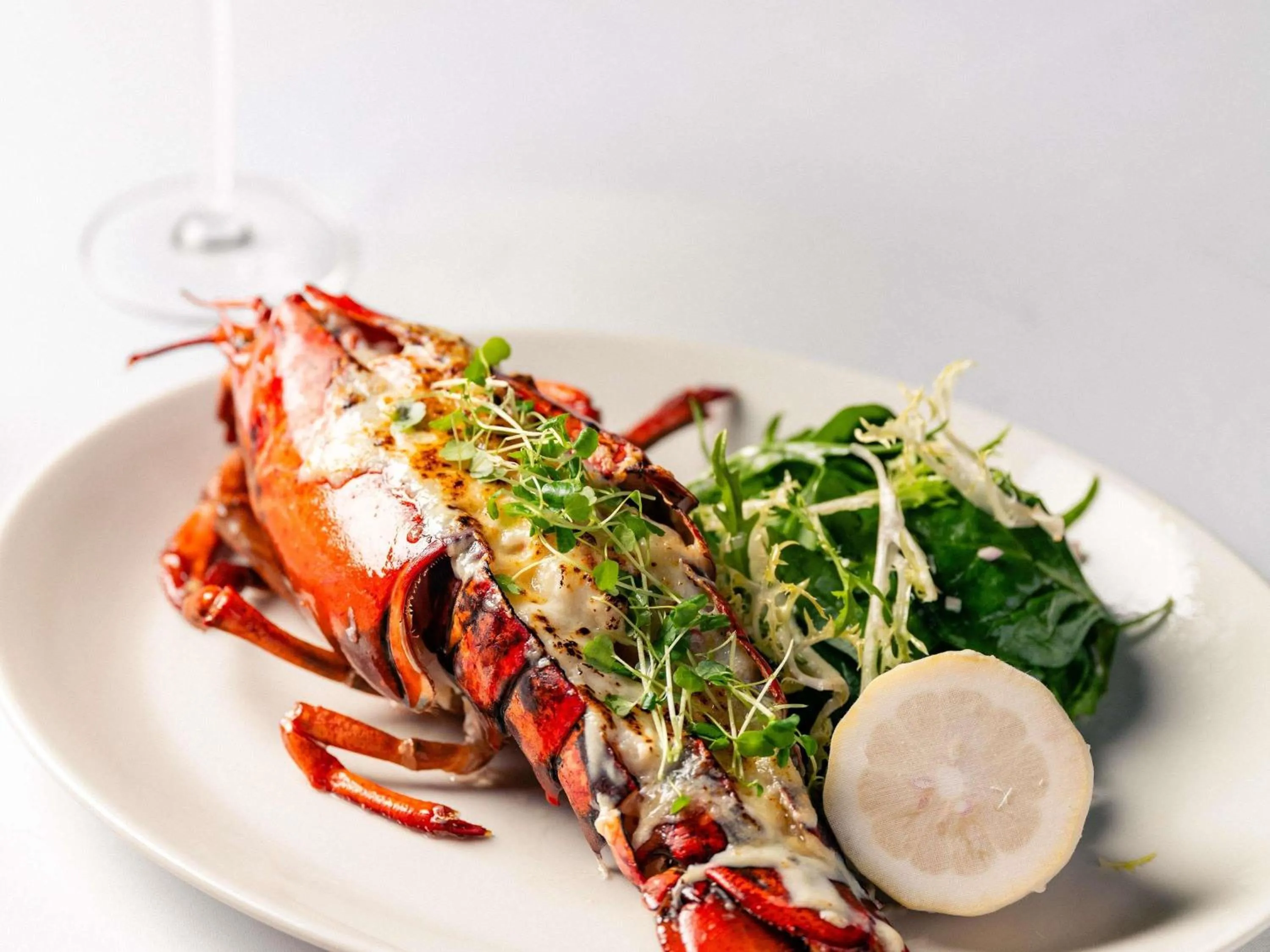 Restaurant/places to eat in Fairmont Bab Al Bahr