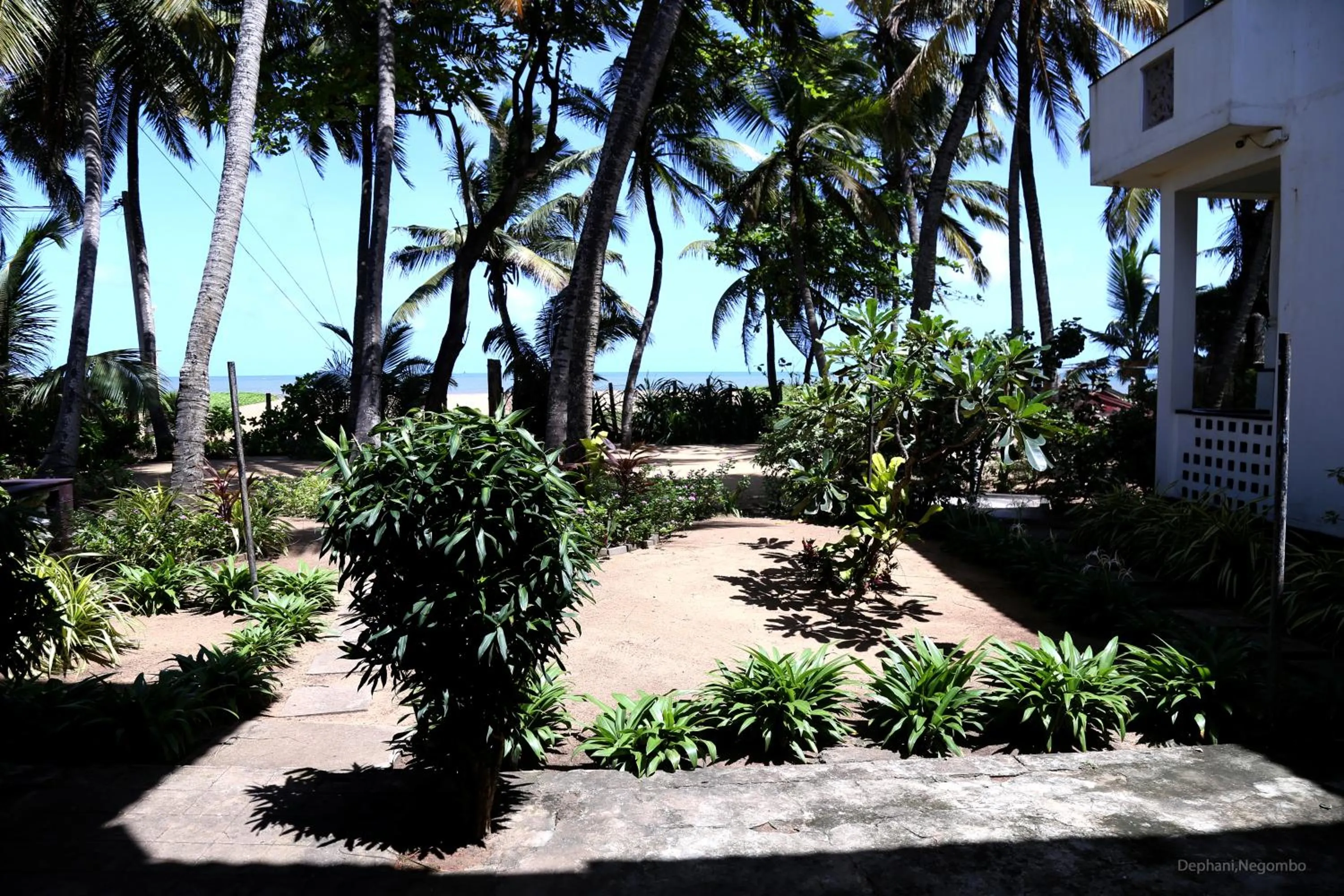 Dephani Beach Hotel