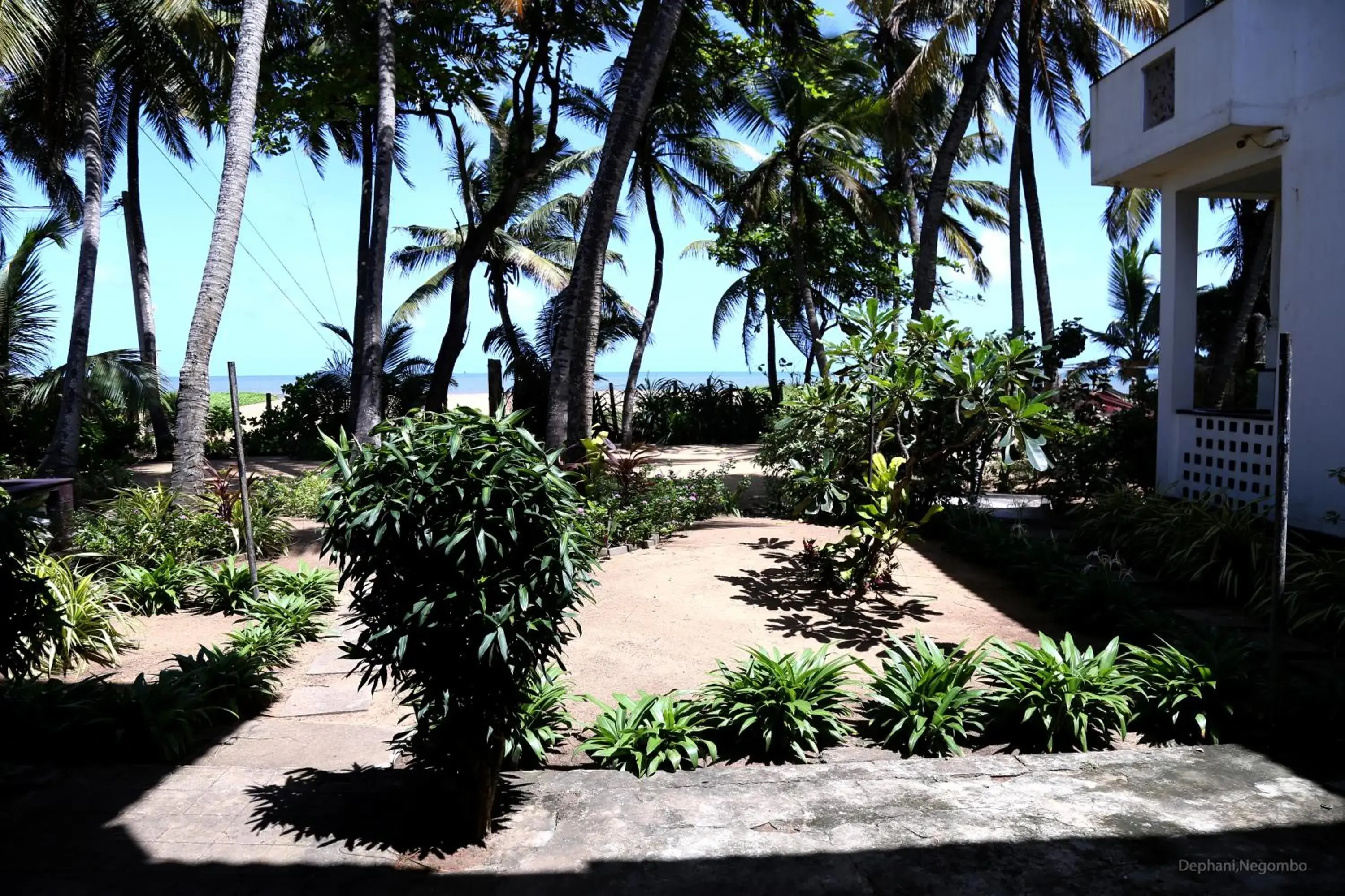 Standard Double or Twin Room with Sea View in Dephani Beach Hotel Standard Double or Twin Room with Sea View in Dephani Beach Hotel