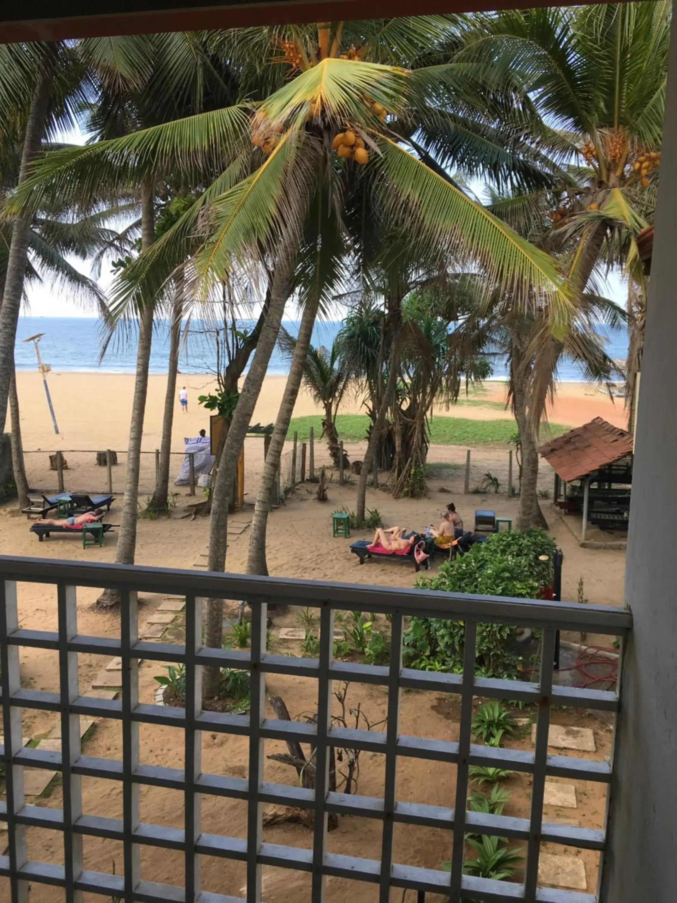 Dephani Beach Hotel Dephani Beach Hotel