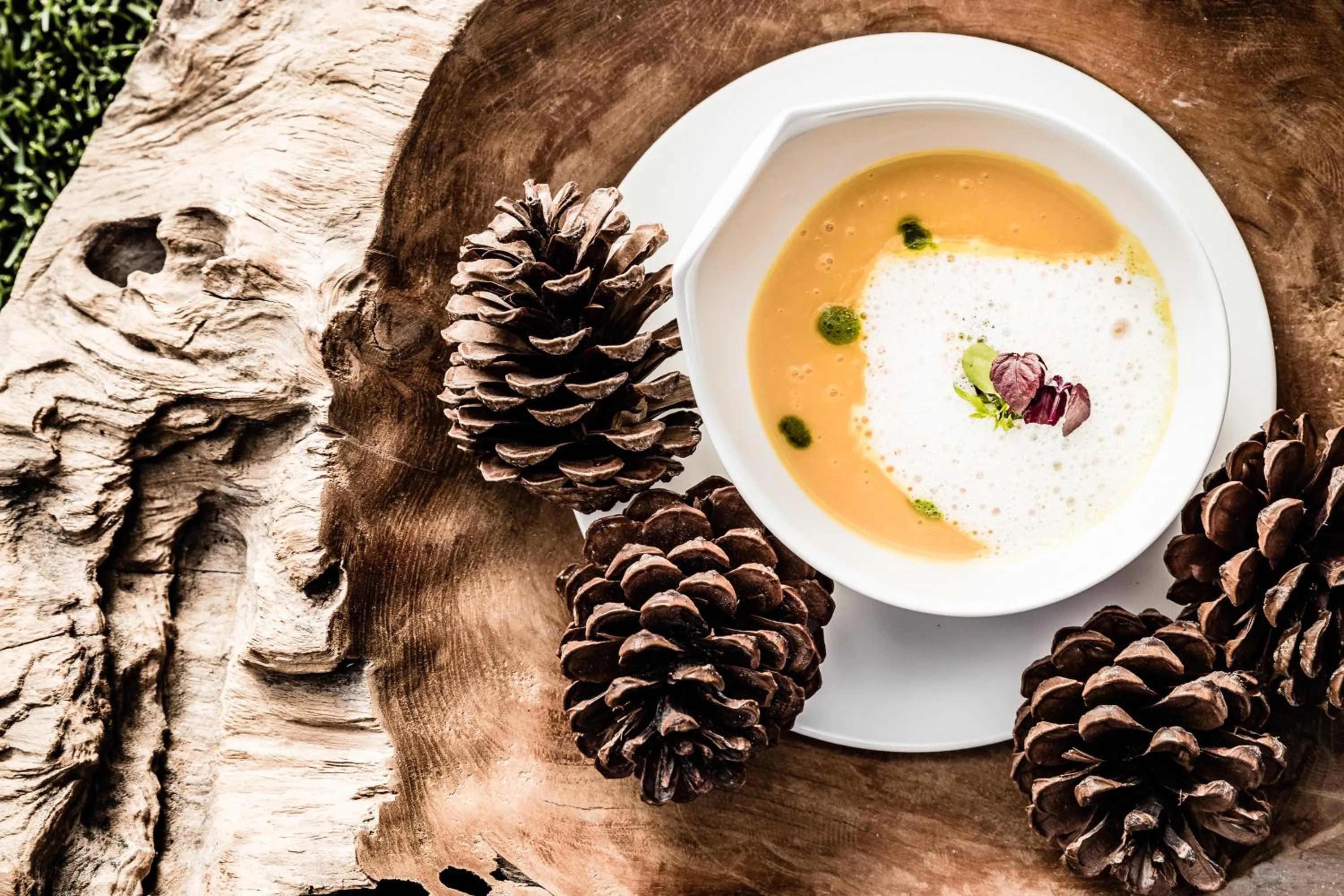 Food close-up in Josef Mountain Resort