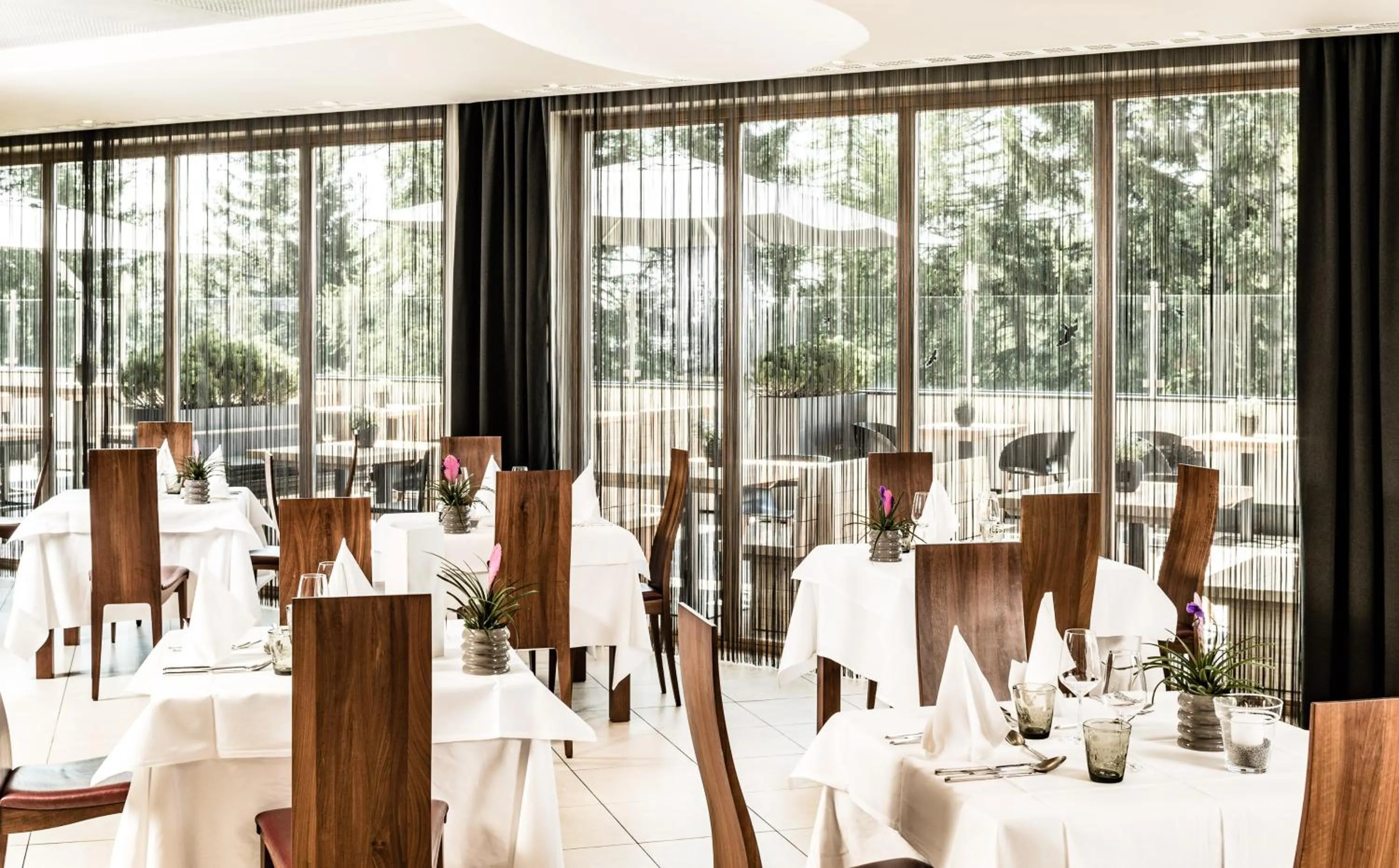 Restaurant/places to eat in Josef Mountain Resort
