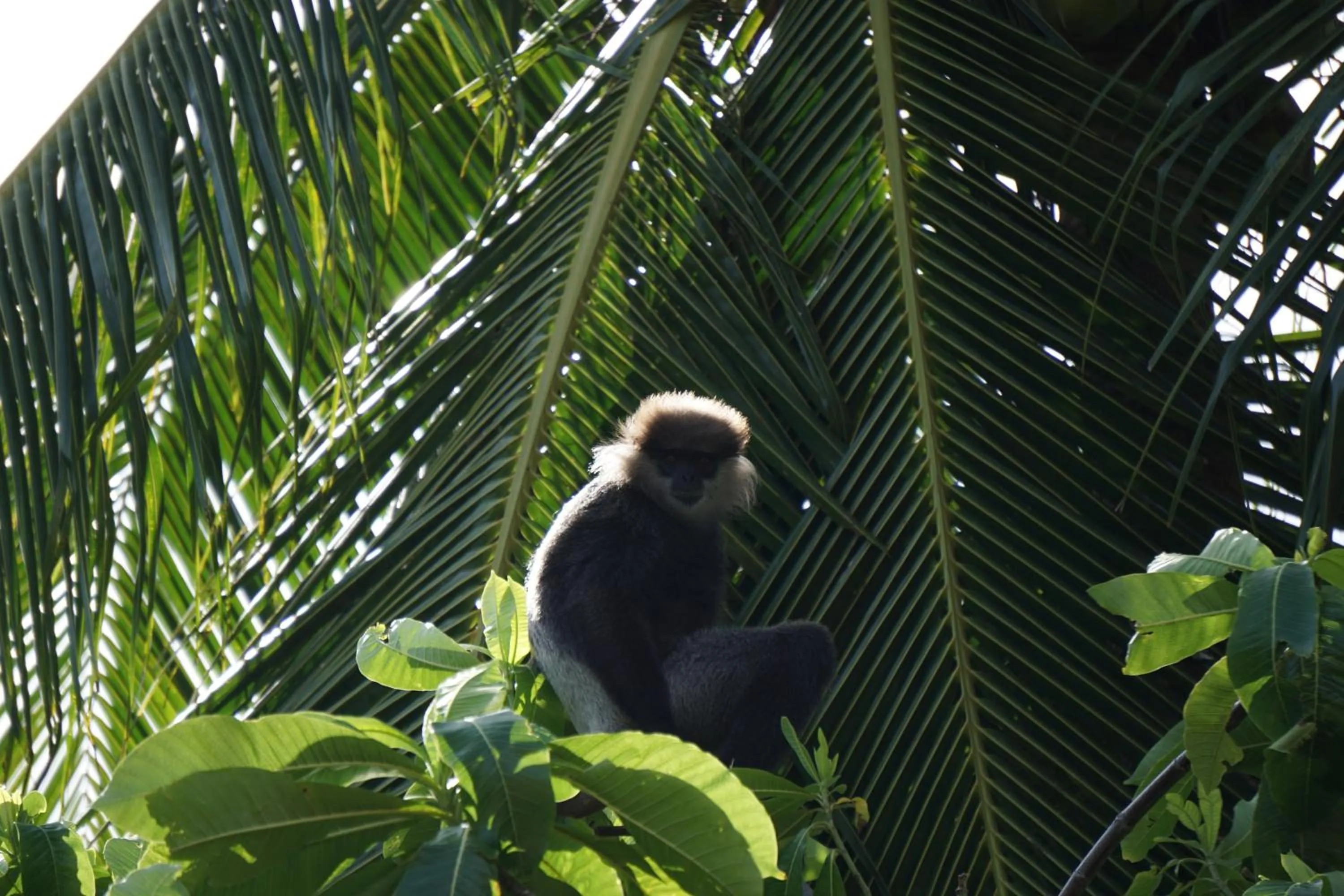 View (from property/room) in Ginganga Lodge