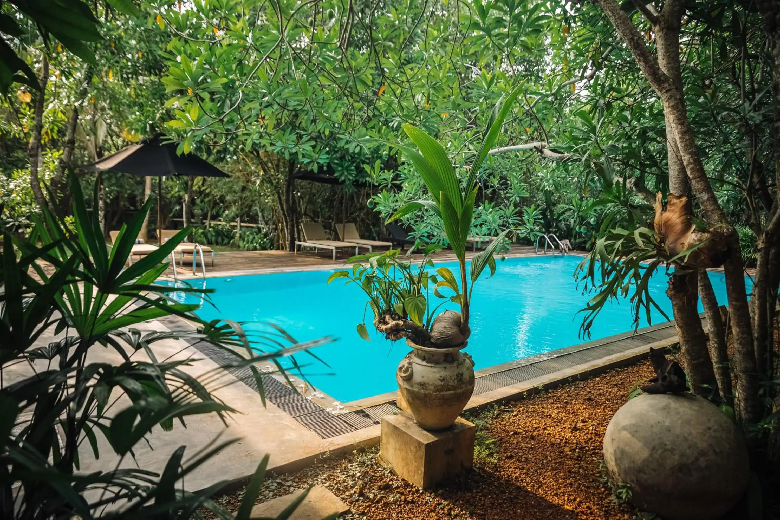 Swimming pool in Ginganga Lodge Swimming pool in Ginganga Lodge