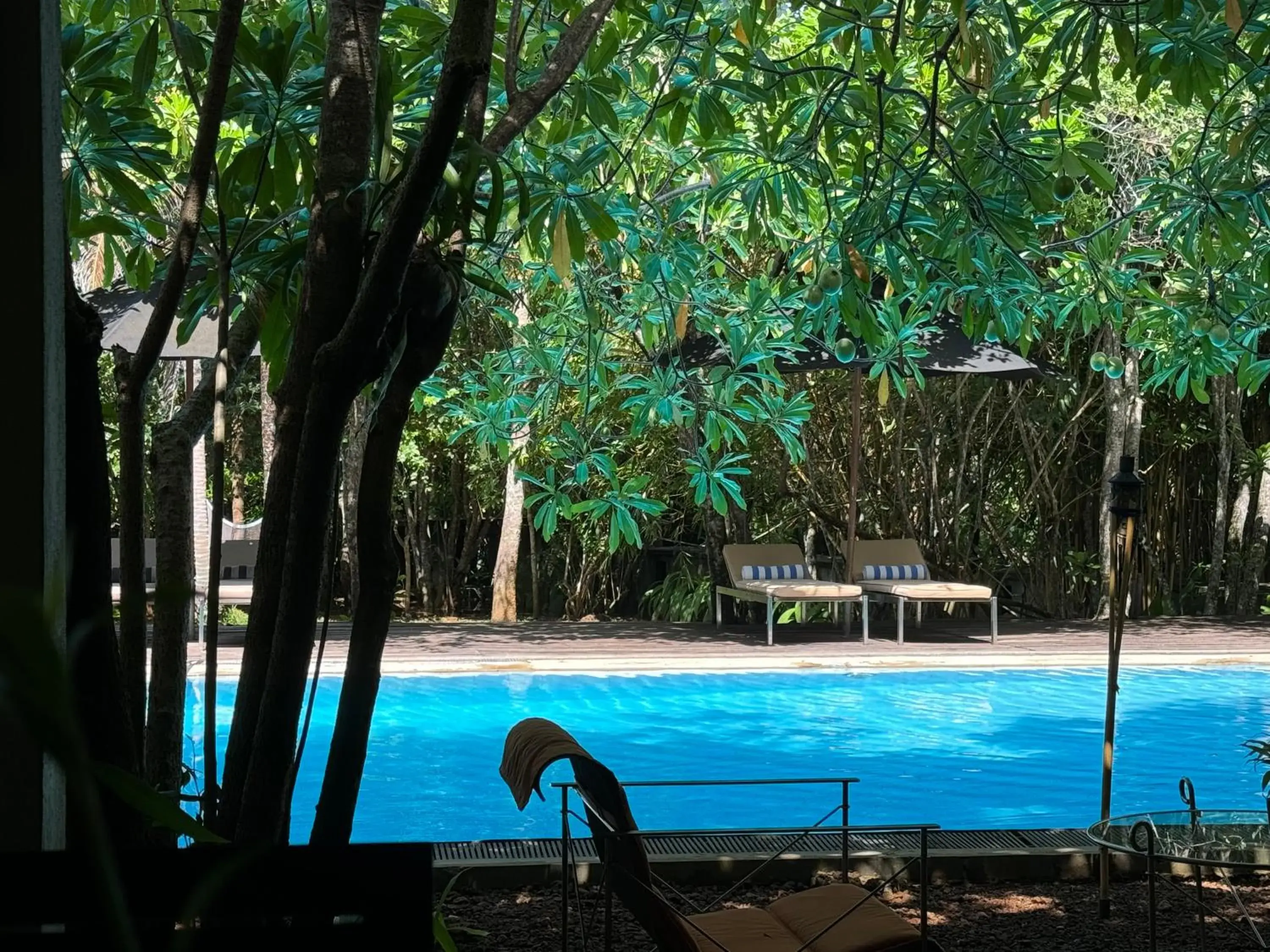 Swimming pool in Ginganga Lodge Swimming pool in Ginganga Lodge