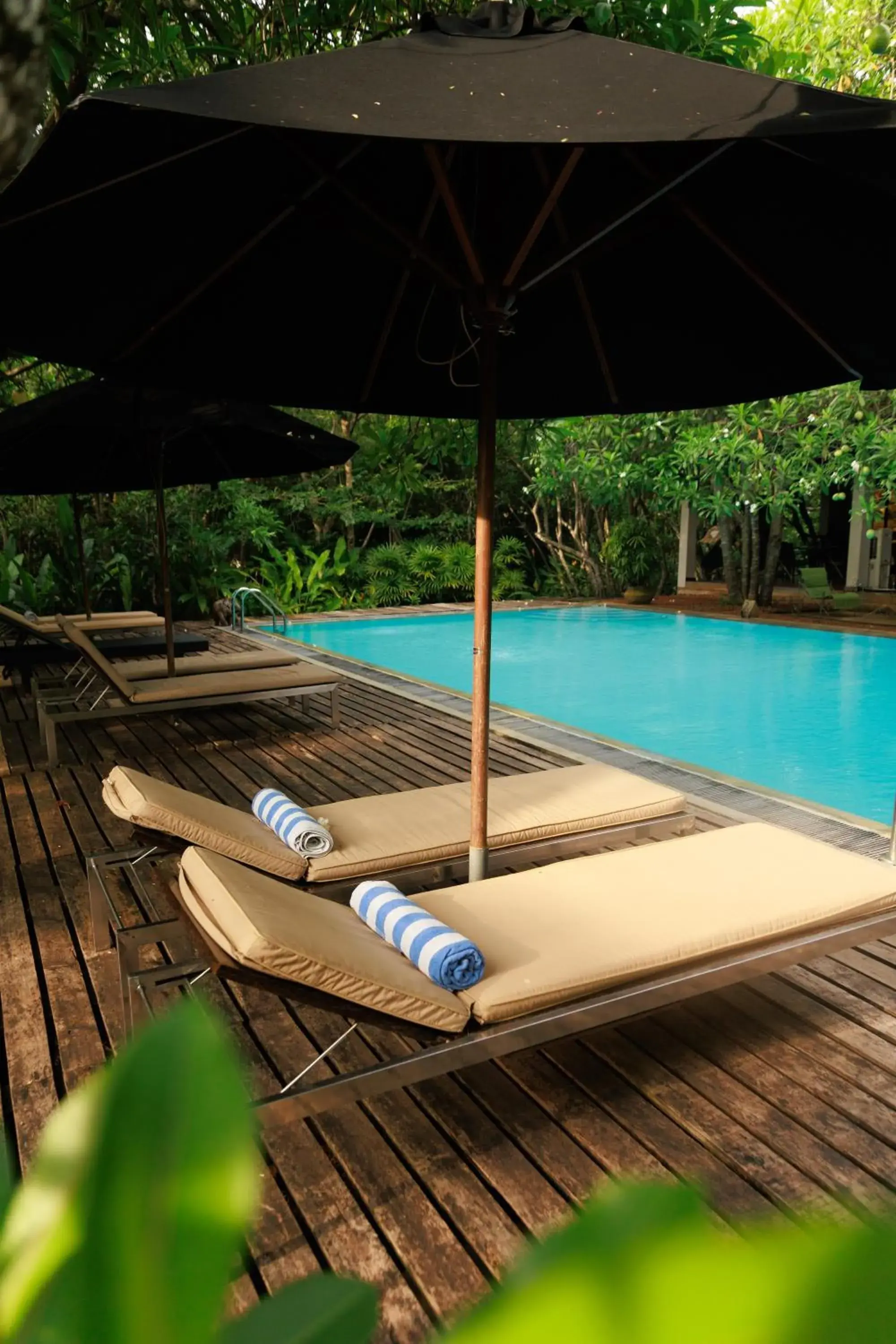 Swimming pool in Ginganga Lodge Swimming pool in Ginganga Lodge