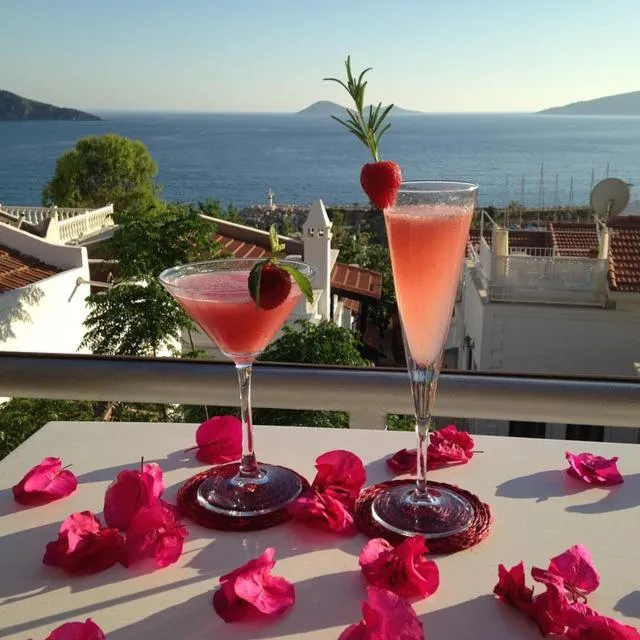 Day in The White House Kalkan