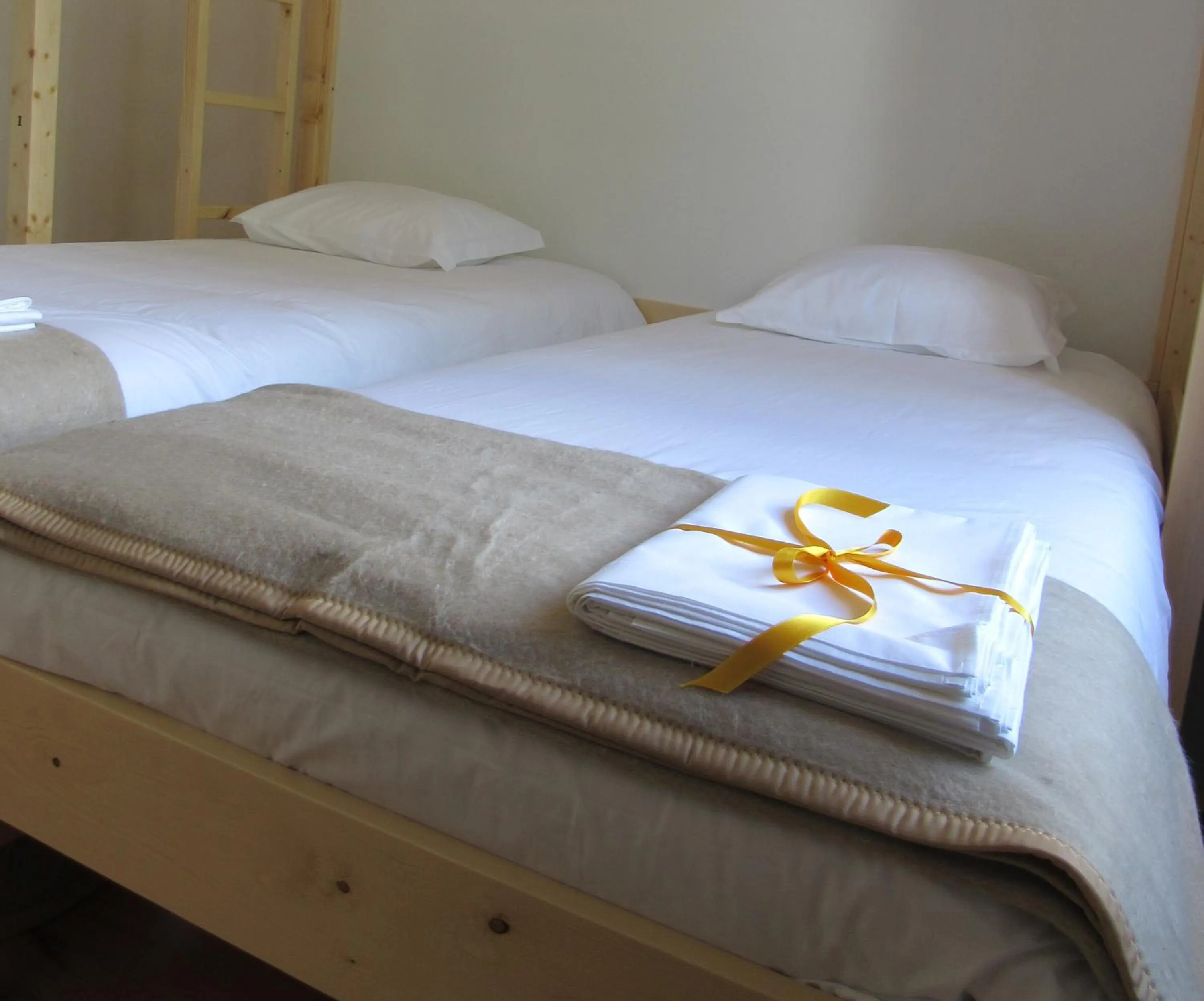 Garden, Bed in Most Art Boutique Hostel