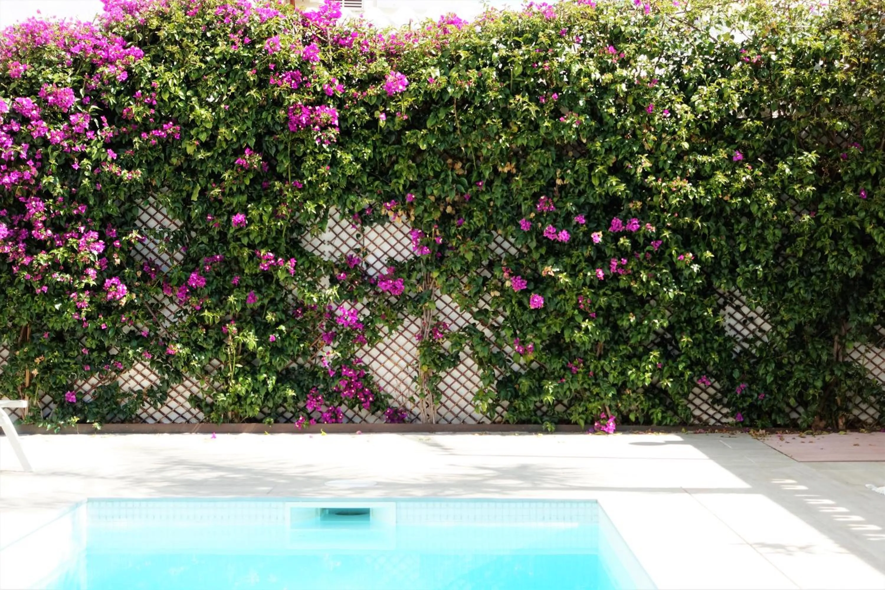Patio in Casa Molinar