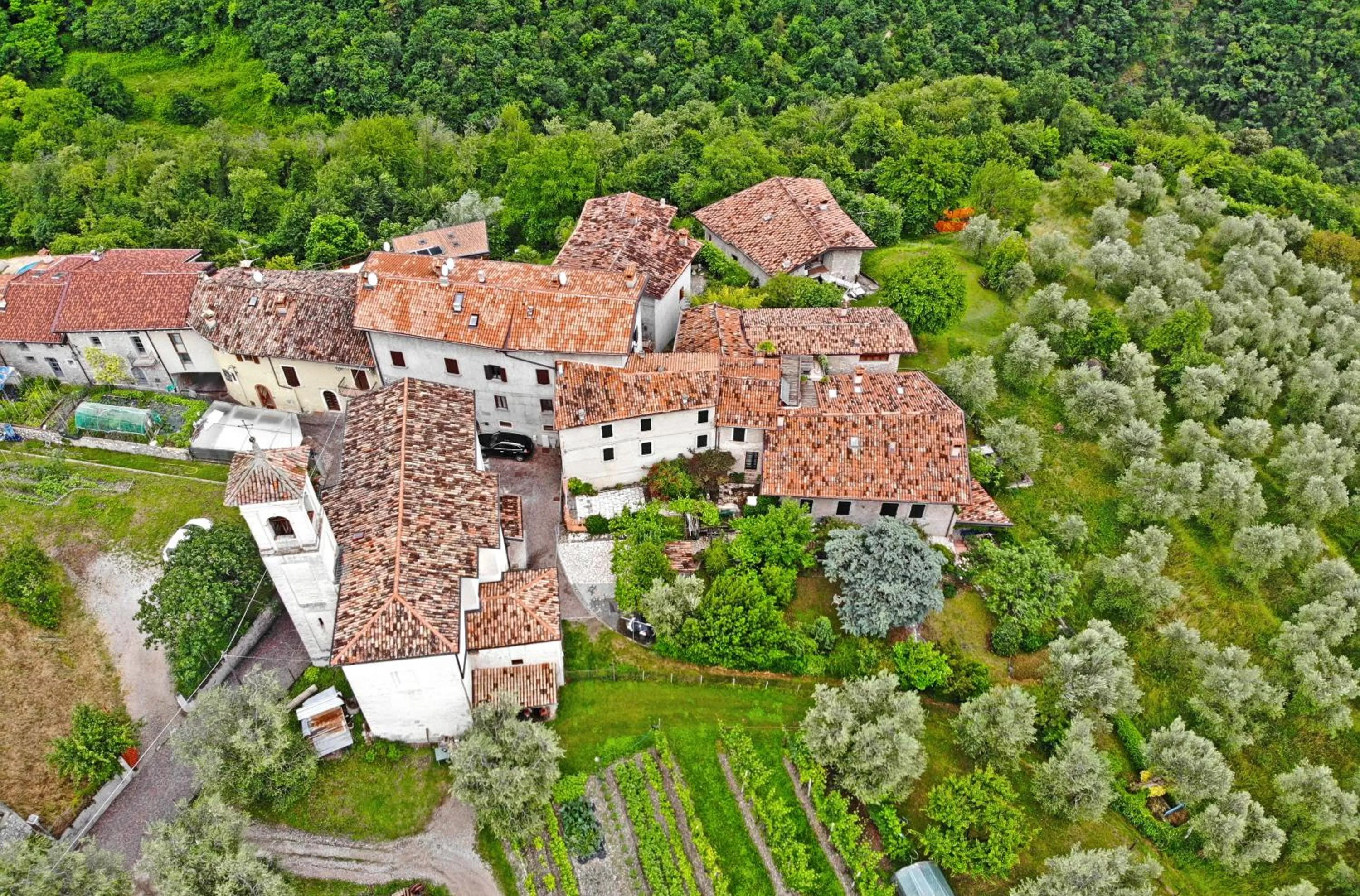 Neighbourhood in Casa Gina Garden and view by Gardadomusmea