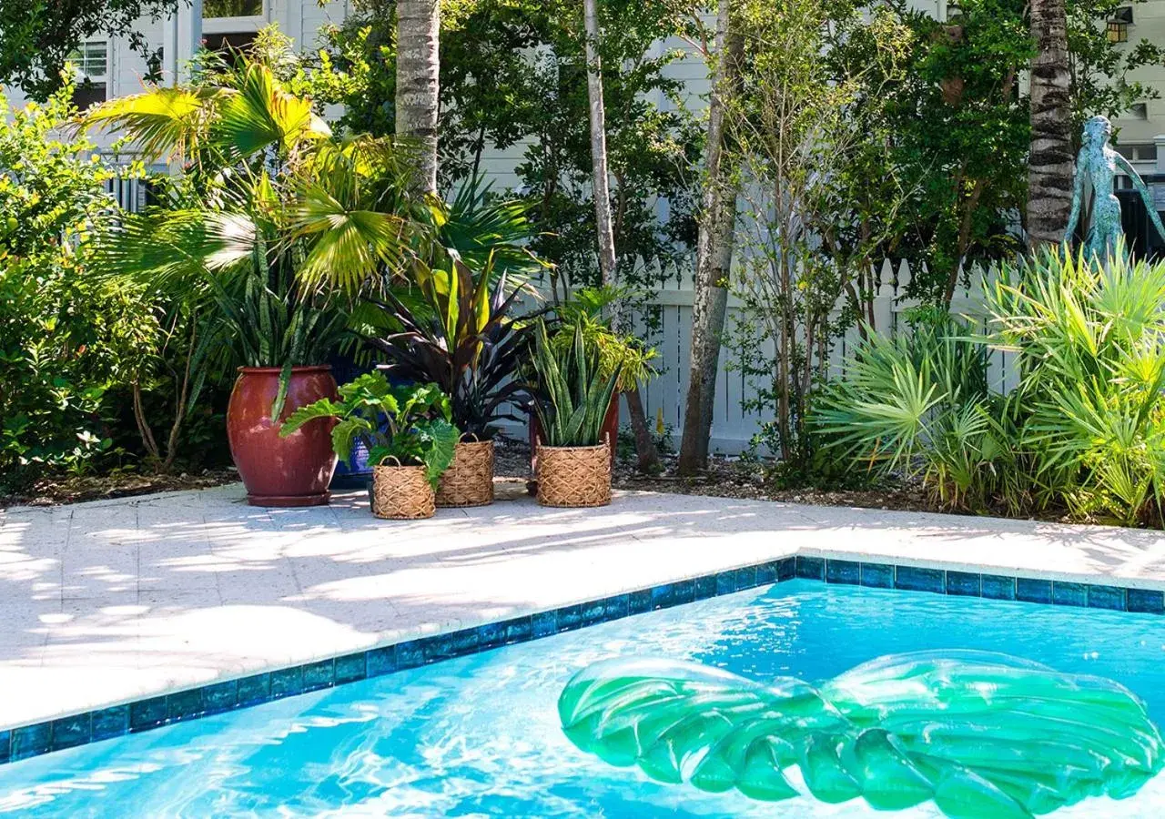 Swimming pool in Parrot Key Hotel & Villas Swimming pool in Parrot Key Hotel & Villas