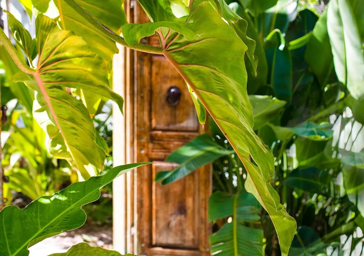 Garden in Parrot Key Hotel & Villas