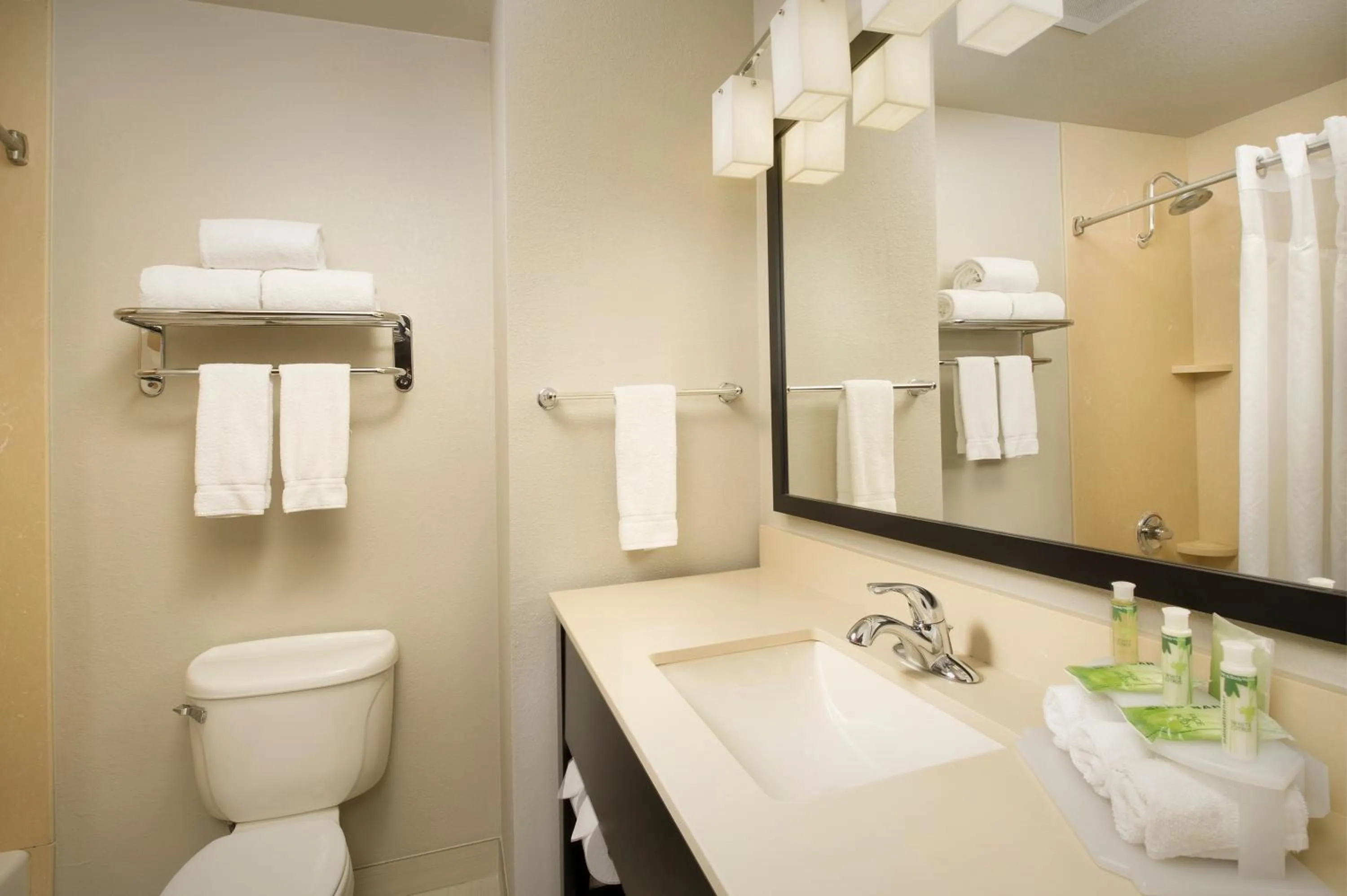 Toilet in Holiday Inn Express Hotel and Suites DFW-Grapevine by IHG