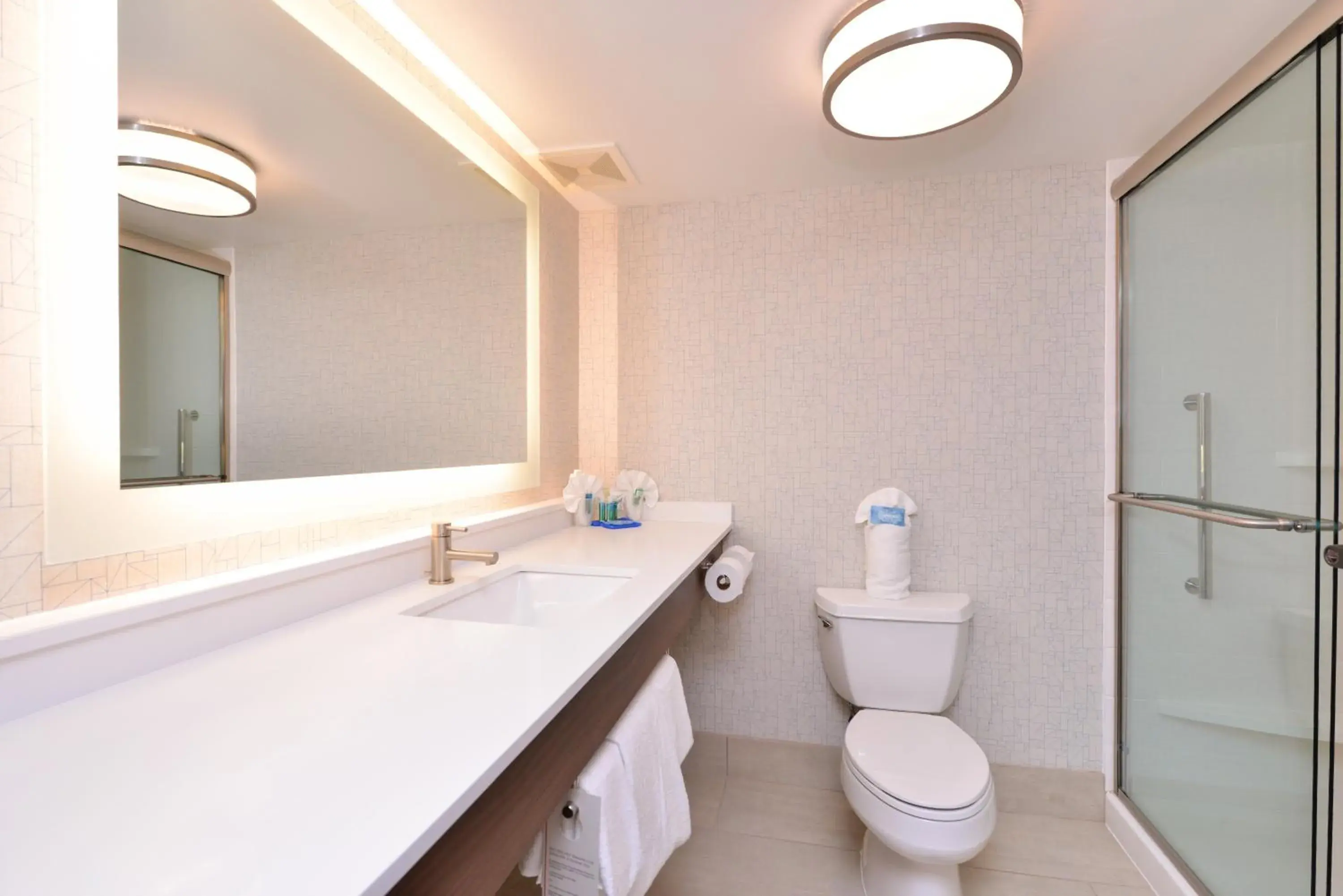 Bathroom in Holiday Inn Express & Suites Indianapolis Dtn-Conv Ctr Area by IHG Bathroom in Holiday Inn Express & Suites Indianapolis Dtn-Conv Ctr Area by IHG