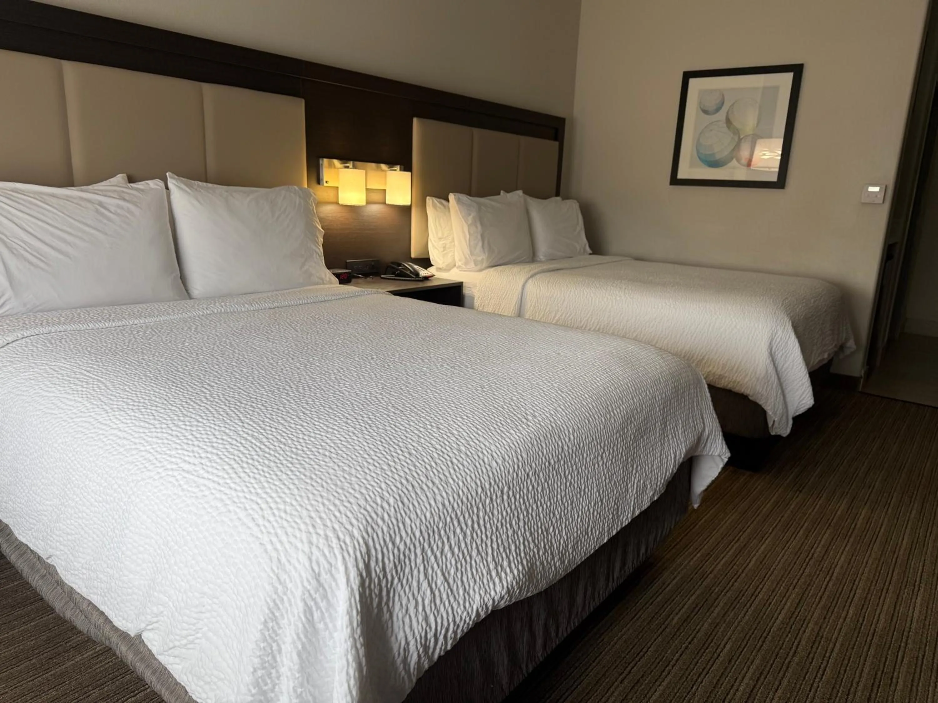 Photo of the whole room, Bed in Holiday Inn Express & Suites Dallas - Duncanville by IHG