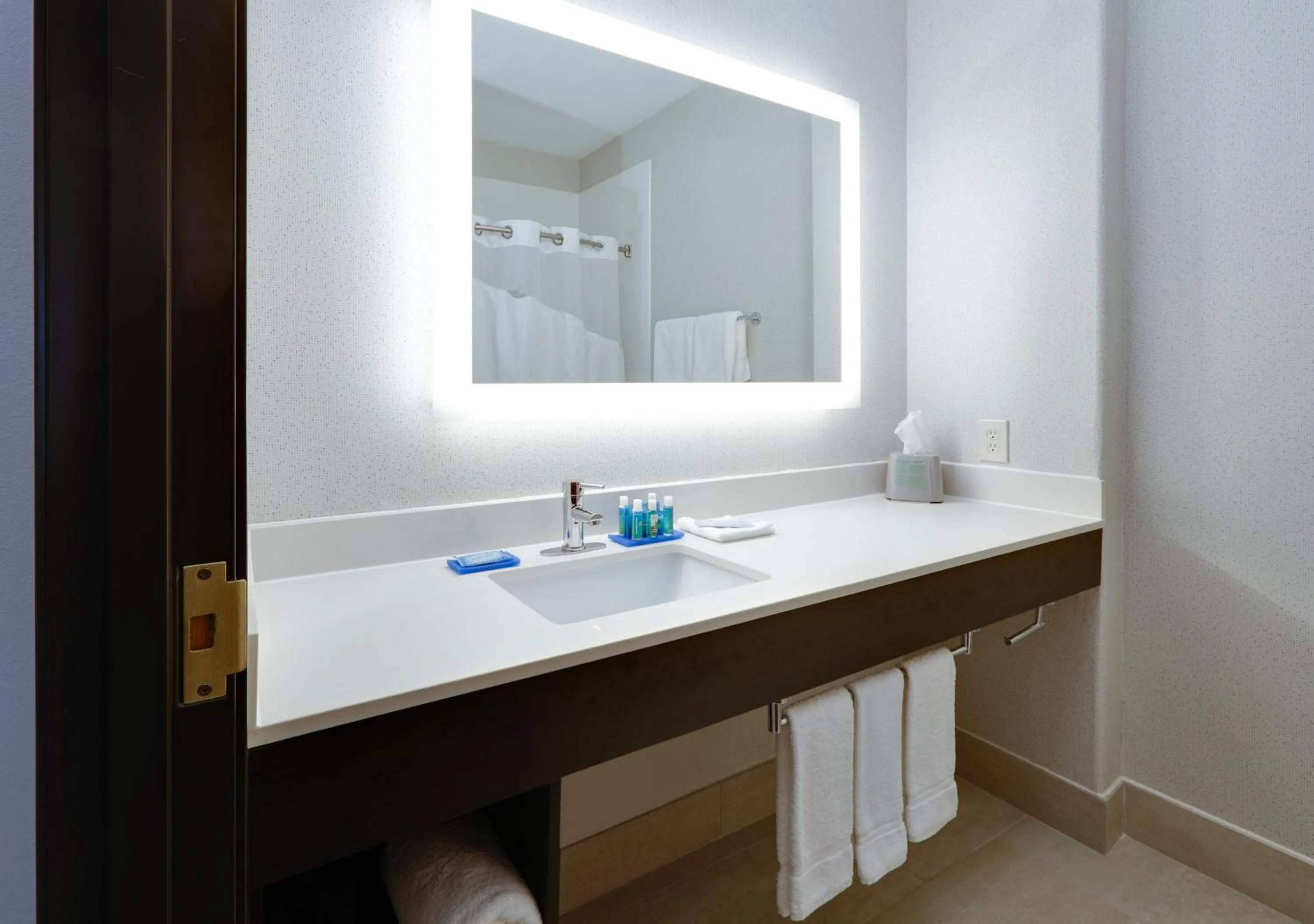 Bathroom in Holiday Inn Express & Suites Dallas - Duncanville by IHG