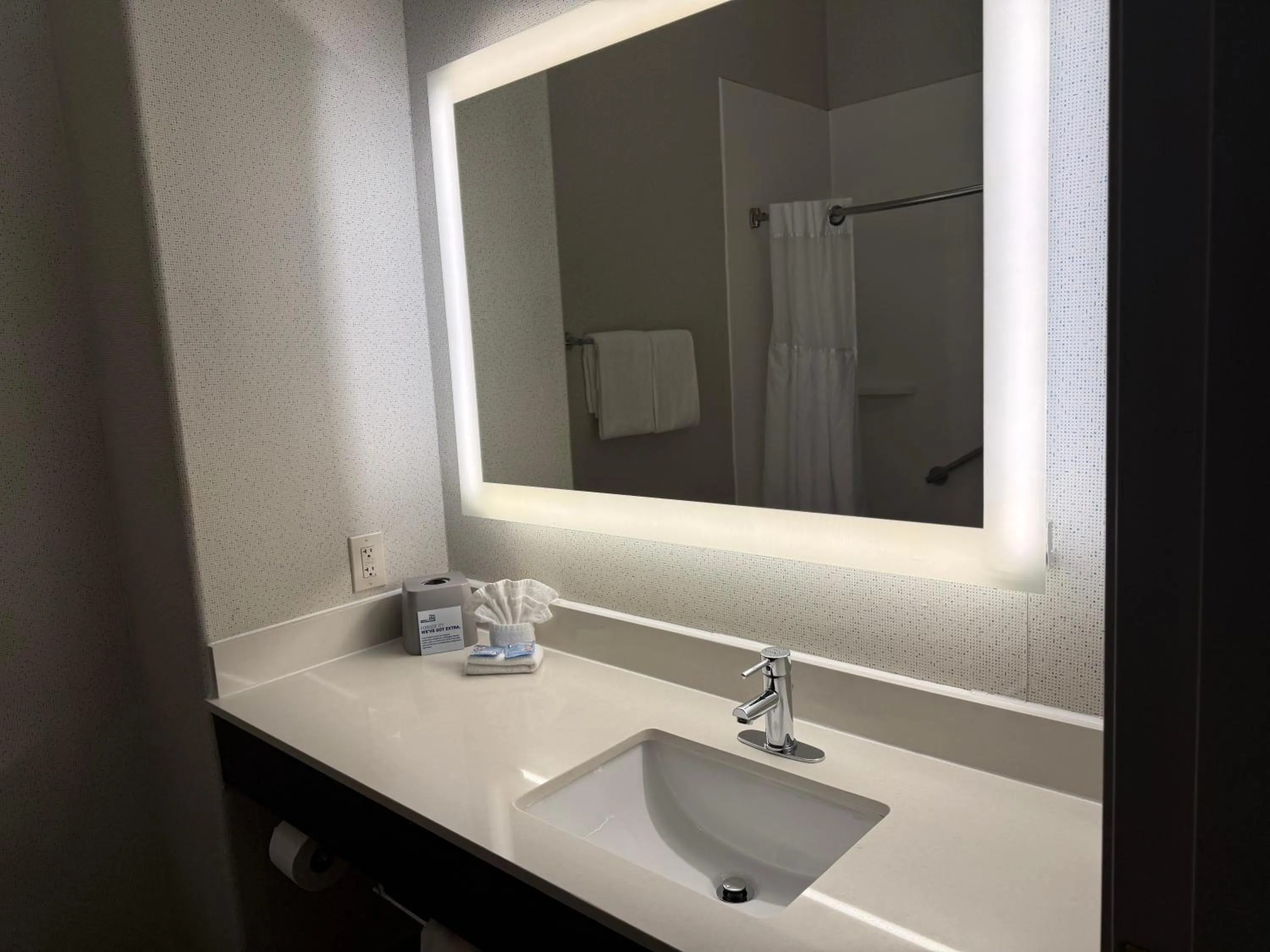 Bathroom in Holiday Inn Express & Suites Dallas - Duncanville by IHG