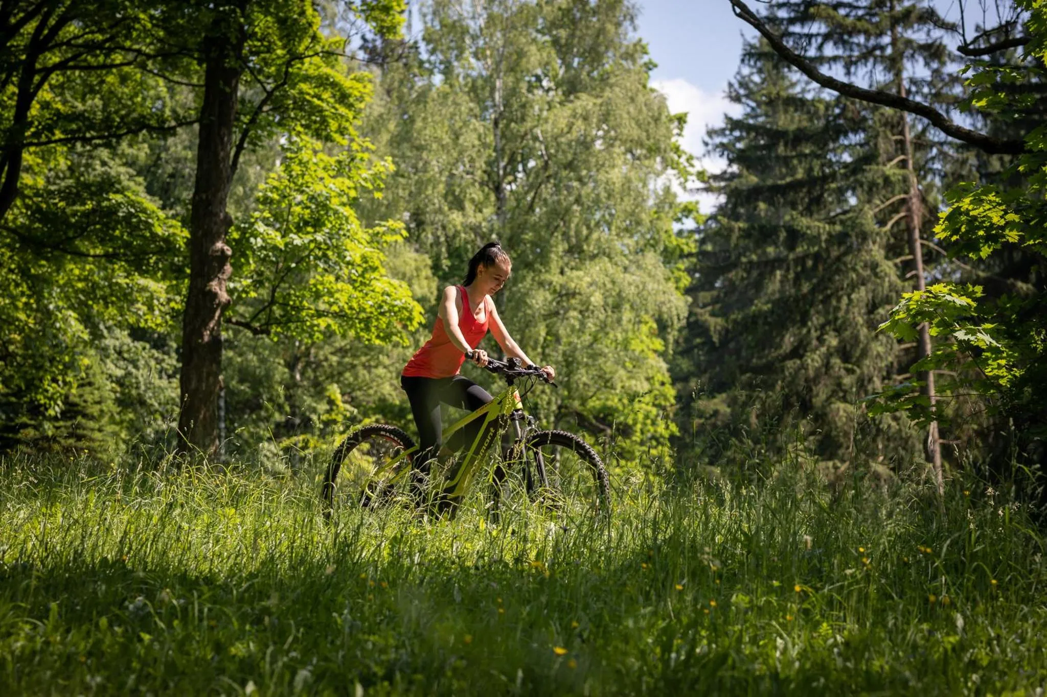 Off site in Wellness & Spa hotel Villa Regenhart