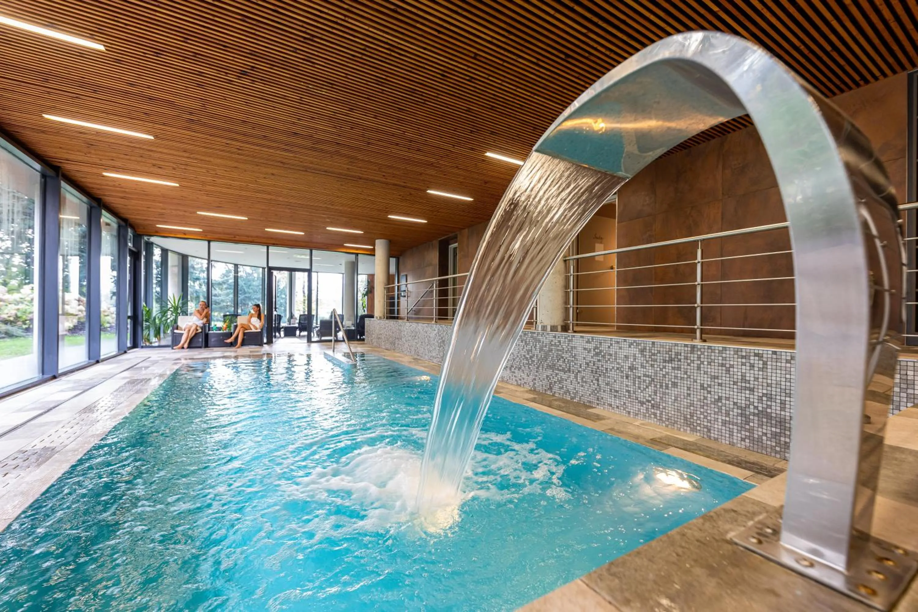 Swimming pool in Wellness & Spa hotel Villa Regenhart