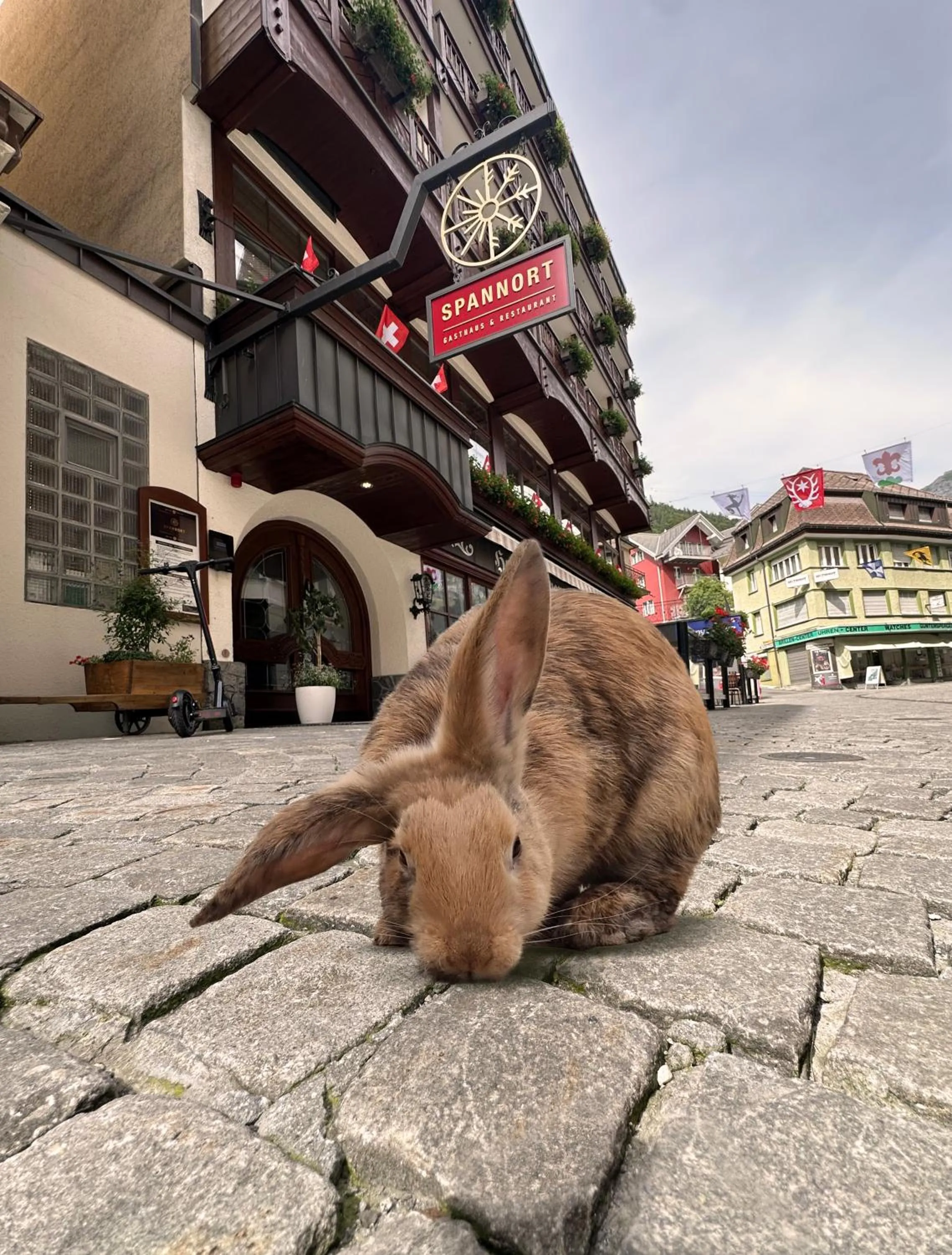 SPANNORT family home with common kitchen and self check-in