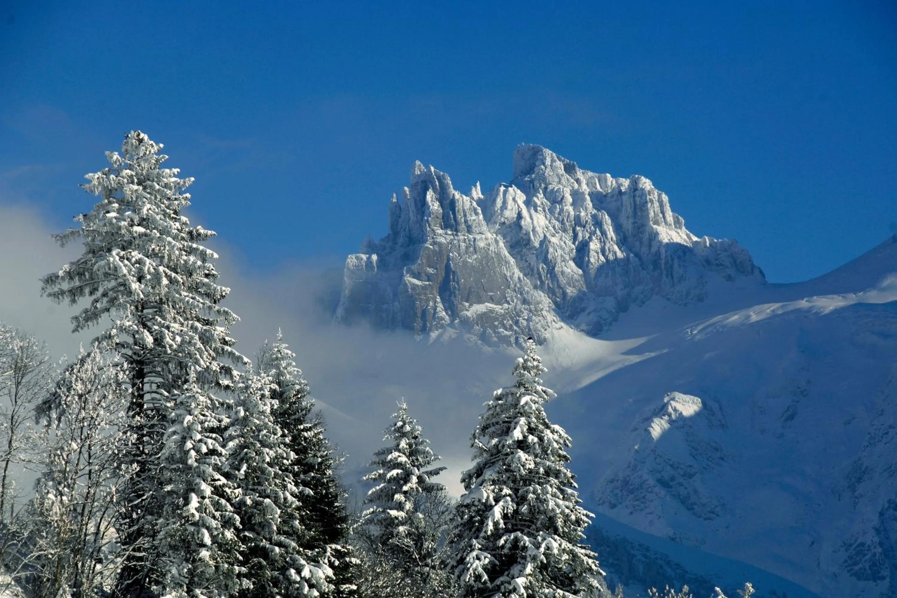 Skiing in SPANNORT family home with common kitchen and self check-in