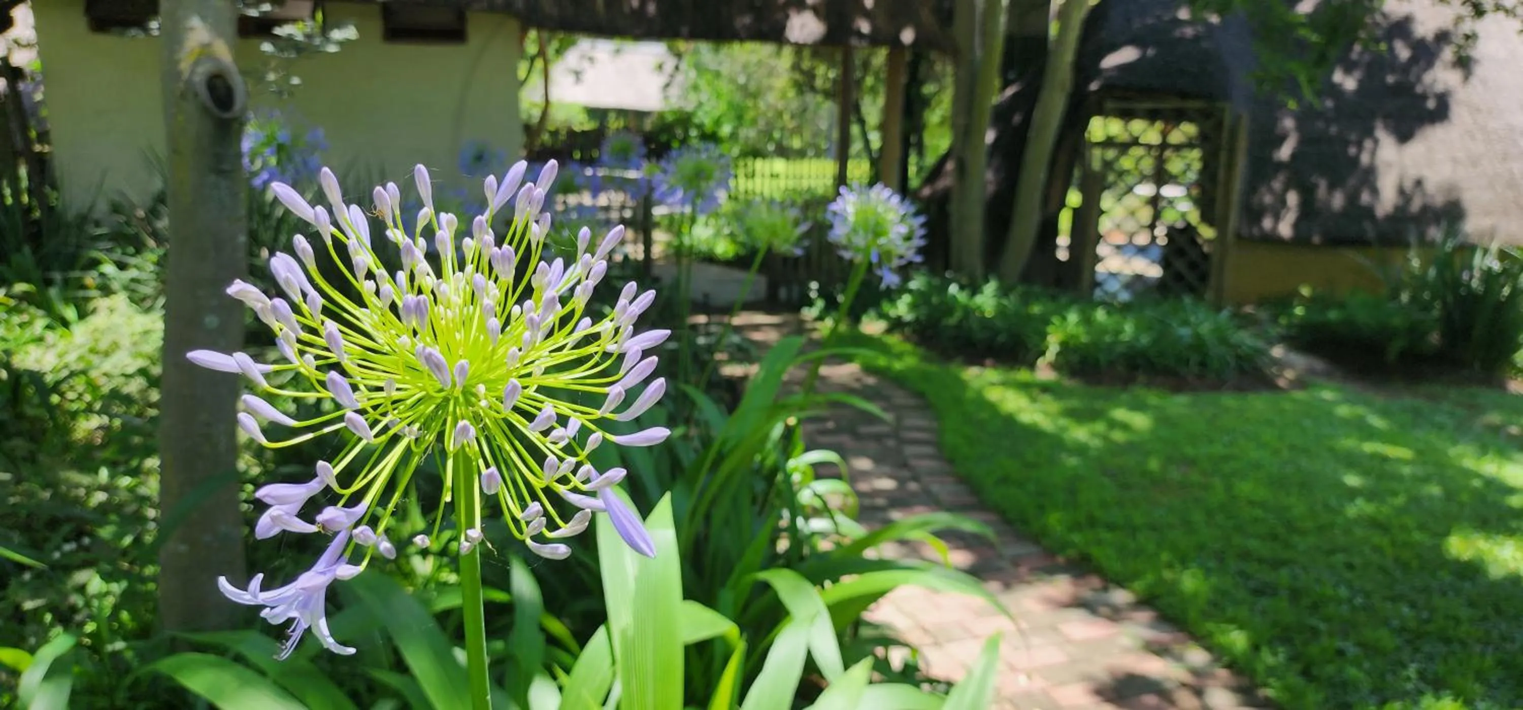 Garden view in Pine Valley