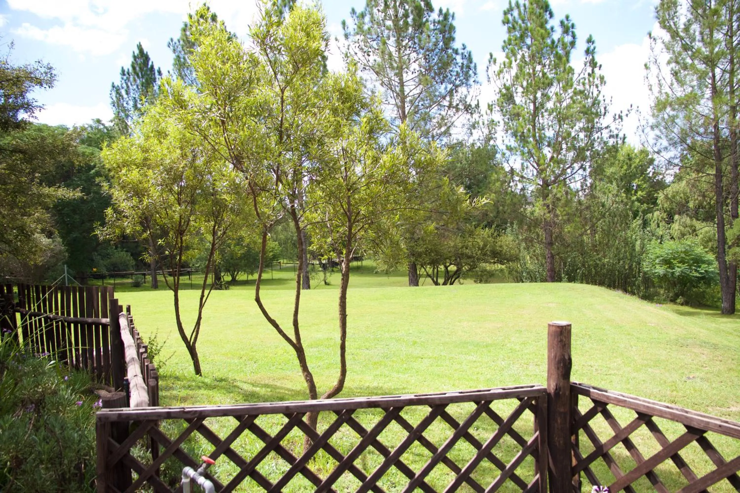 Garden in Pine Valley