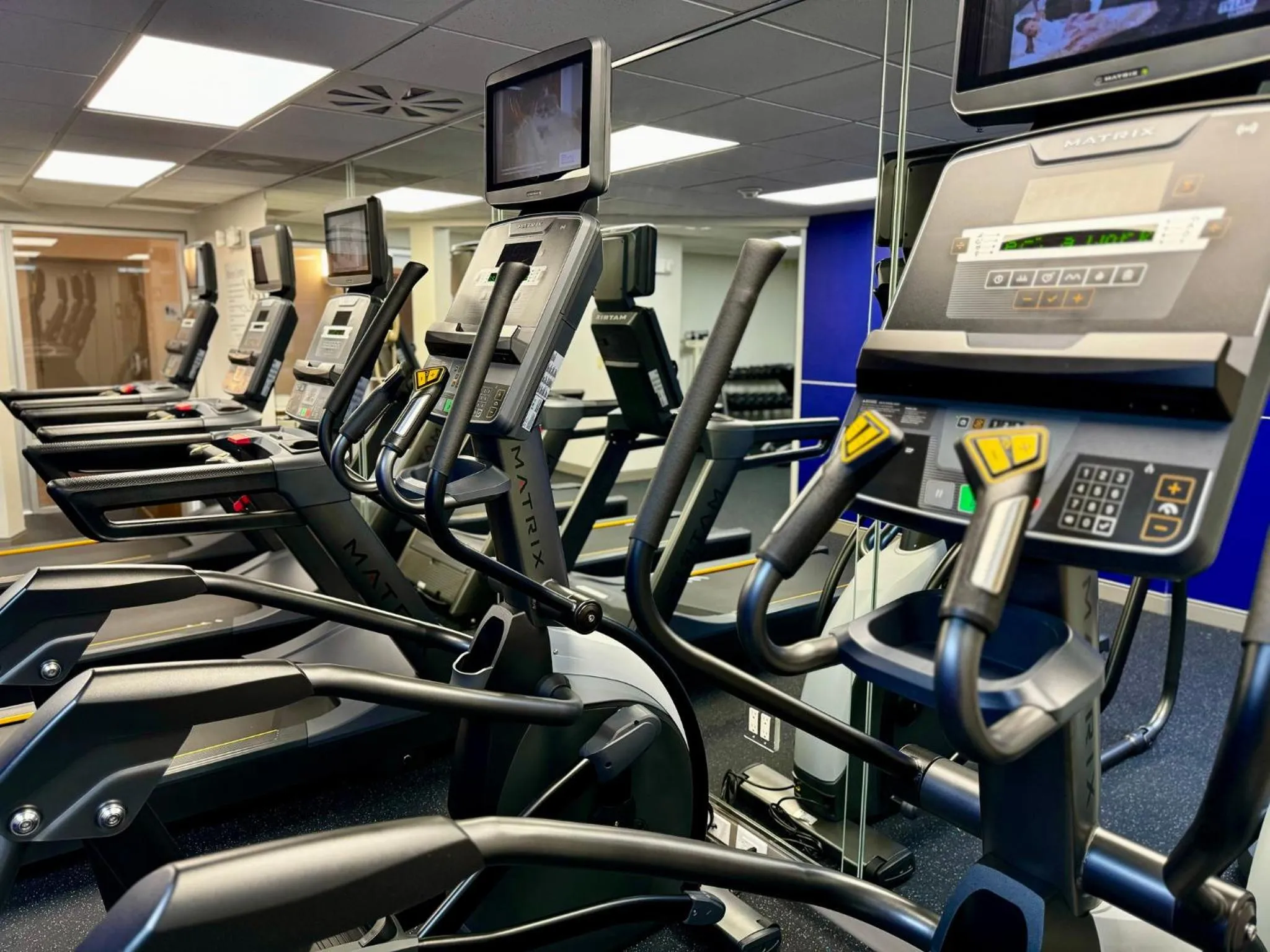 Fitness centre/facilities in Holiday Inn Express Hotel & Suites Tampa-Oldsmar by IHG