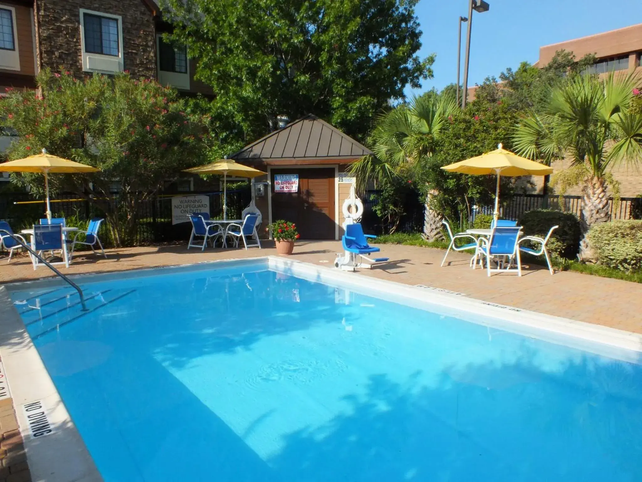 Swimming pool in Staybridge Suites Irving Las Colinas by IHG Swimming pool in Staybridge Suites Irving Las Colinas by IHG