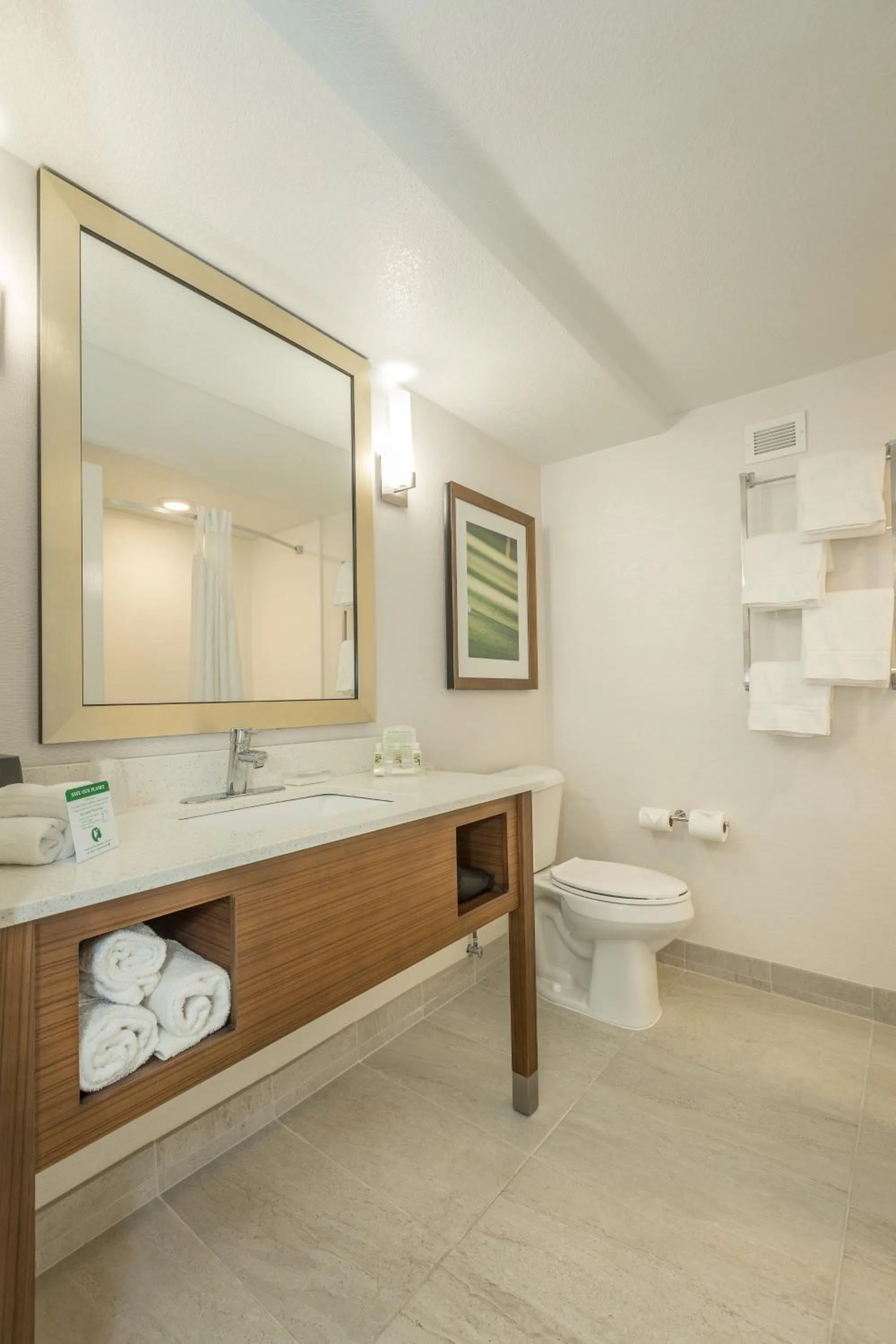 Bathroom in Holiday Inn Hotel and Suites Peachtree City by IHG