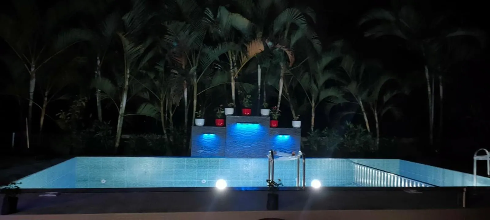 Swimming pool in Wayanad Three Roots Holiday Home Resort