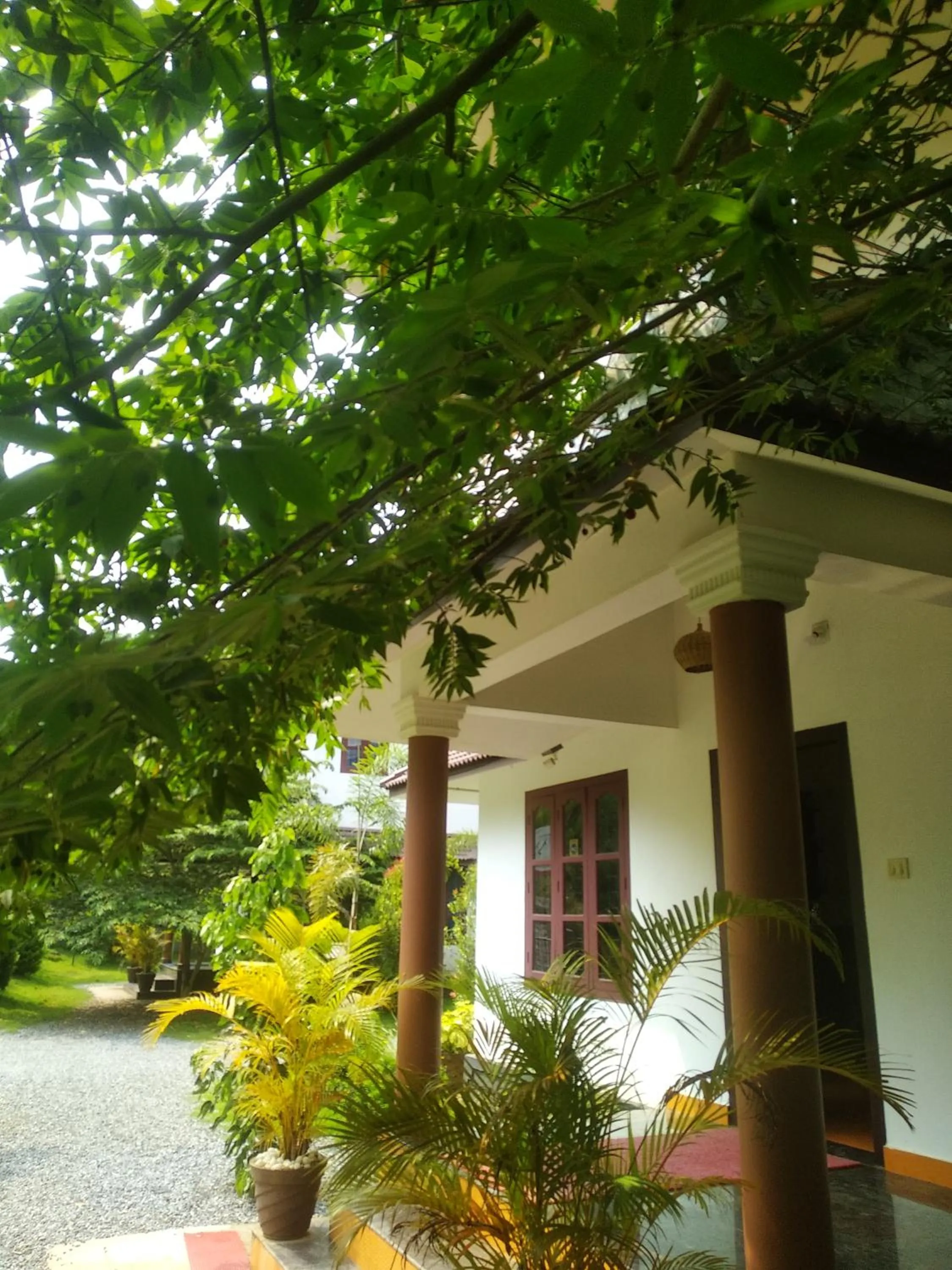 Wayanad Three Roots Holiday Home Resort
