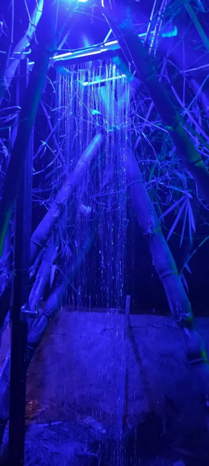 Wayanad Three Roots Holiday Home Resort