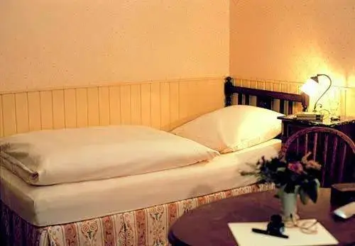 Double Room (1 Adult) in Hotel Buchenhof Double Room (1 Adult) in Hotel Buchenhof