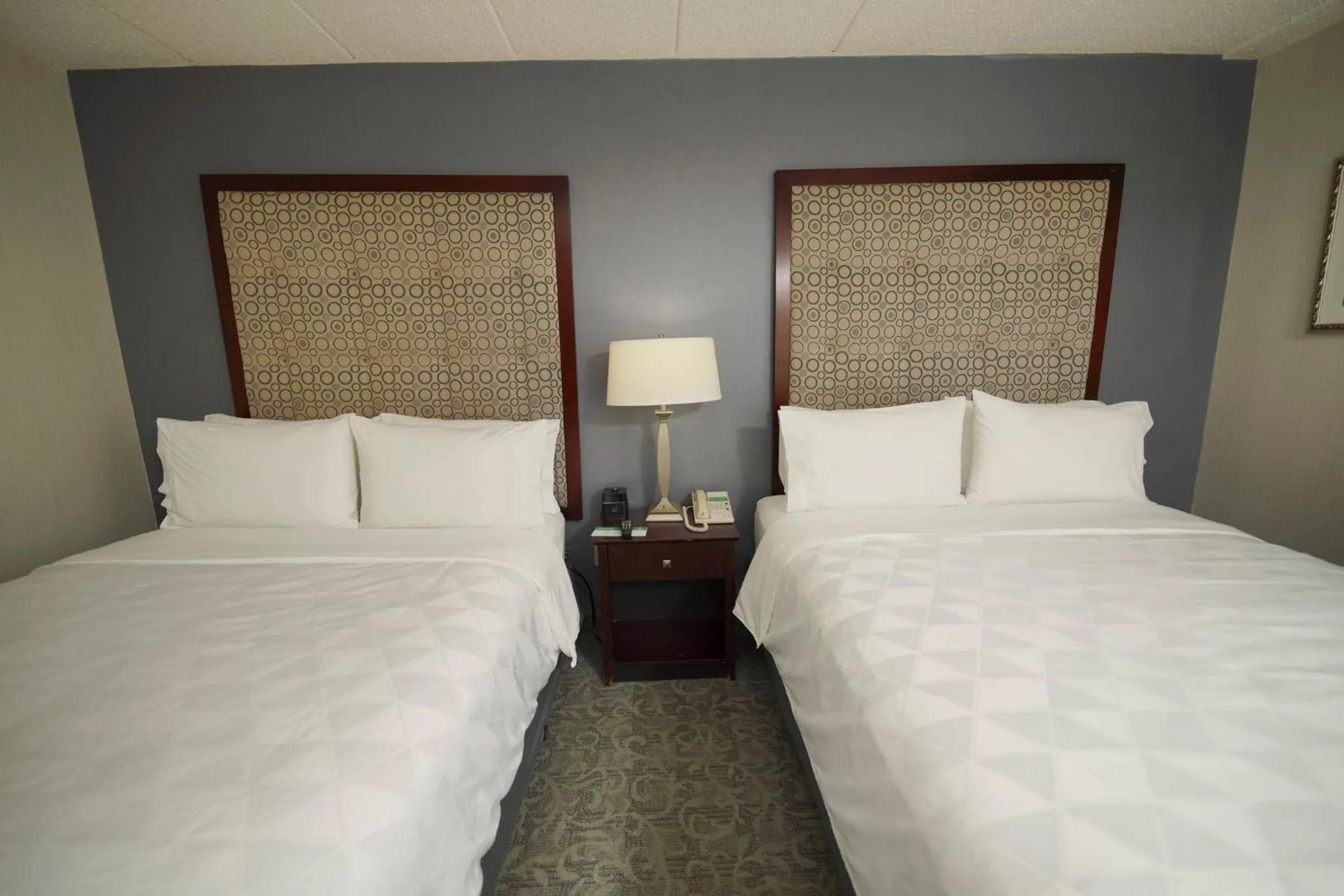 Photo of the whole room, Bed in Holiday Inn & Suites Chicago-Carol Stream Wheaton by IHG