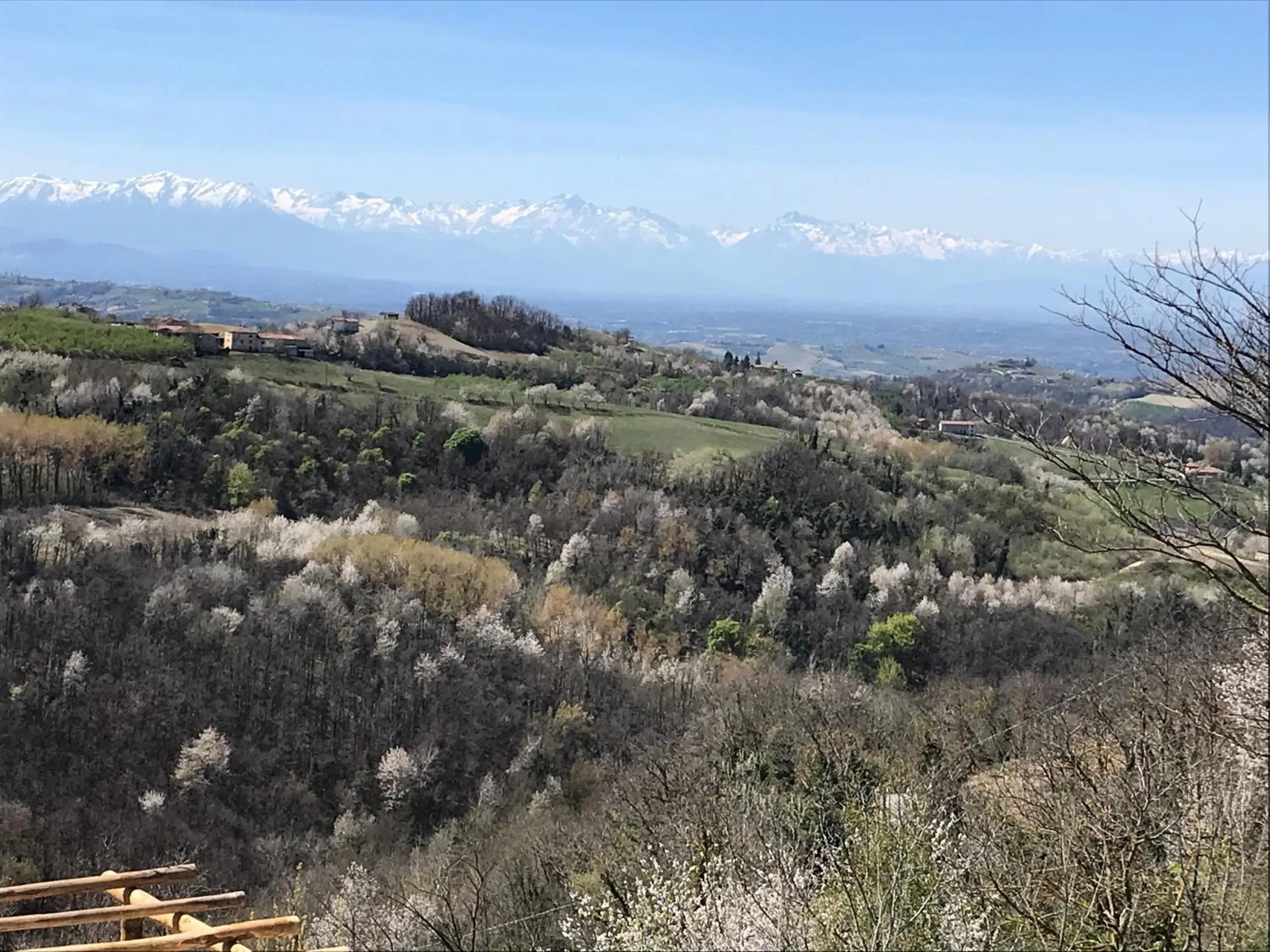 View (from property/room) in Radice Verde