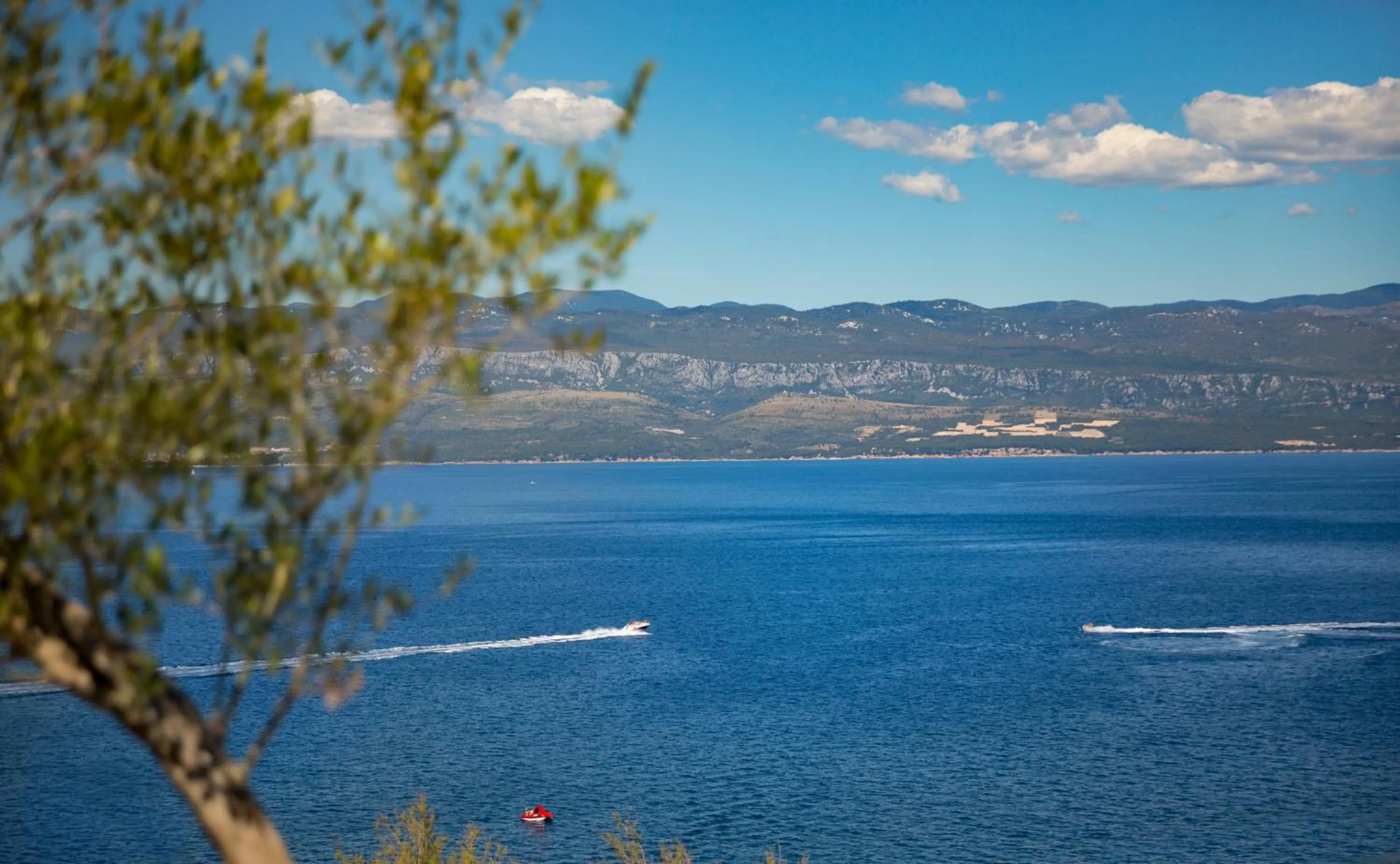 Sea view in Hotel Vinotel Gospoja