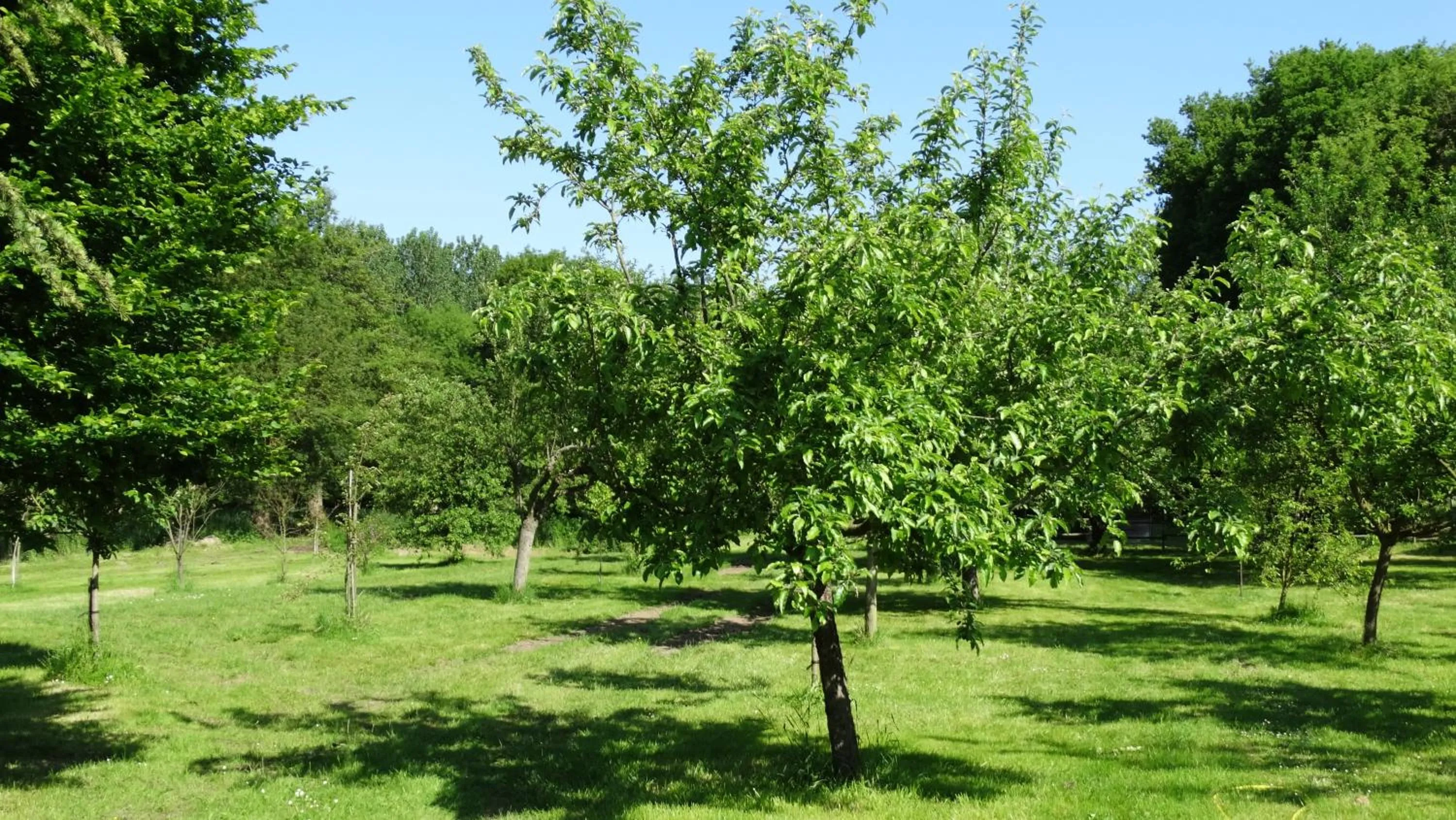 Garden view in Moulin de reigner