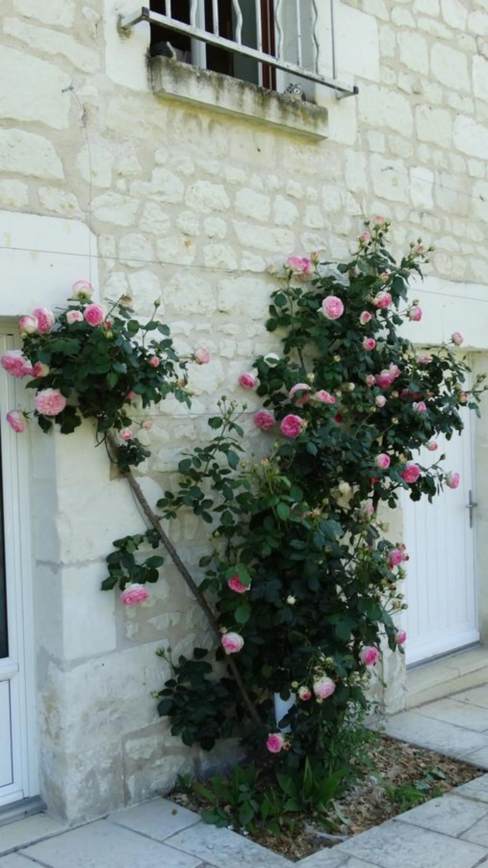 Garden view in Moulin de reigner