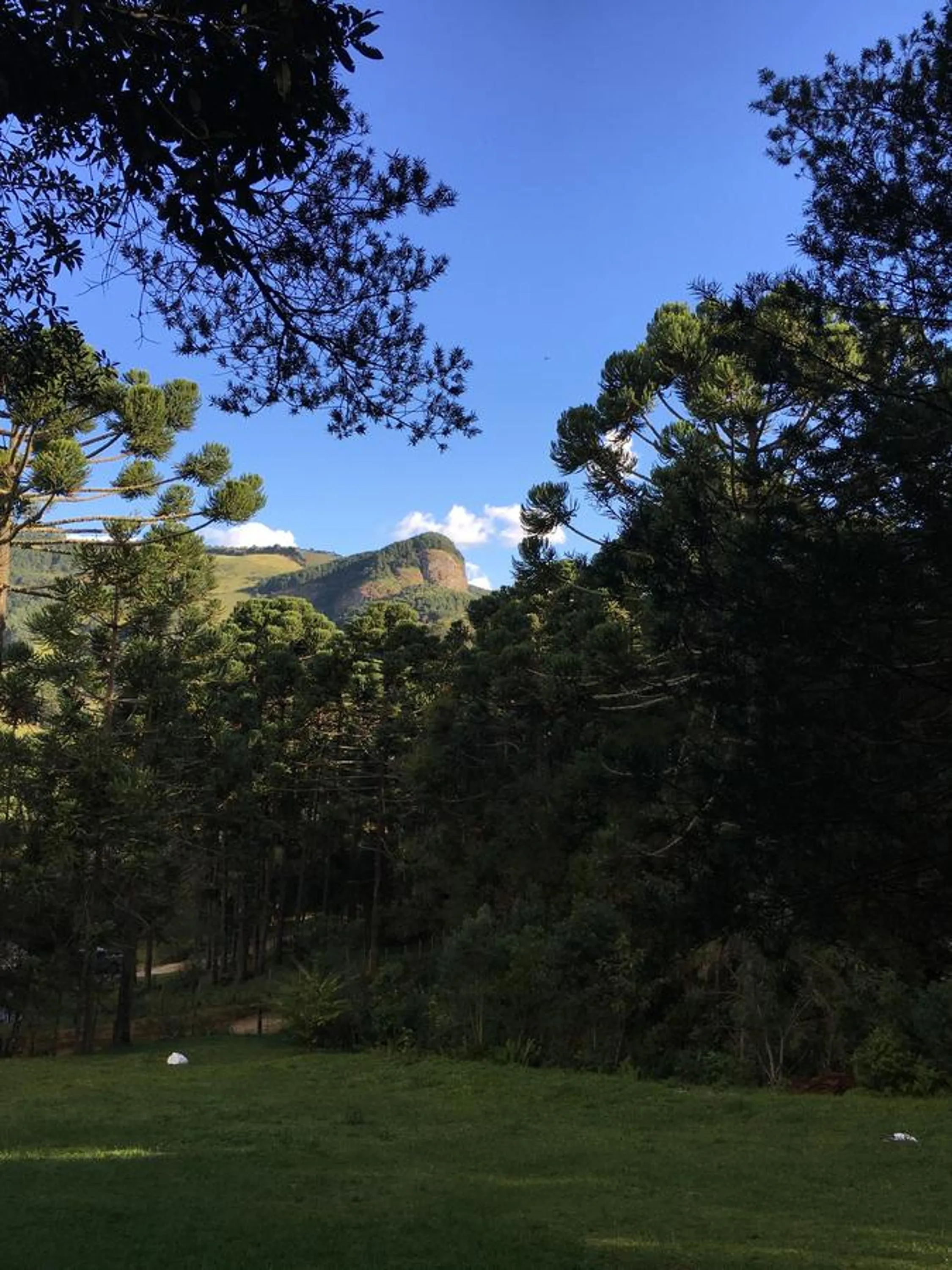 Neighbourhood in Chalés Vila Flor