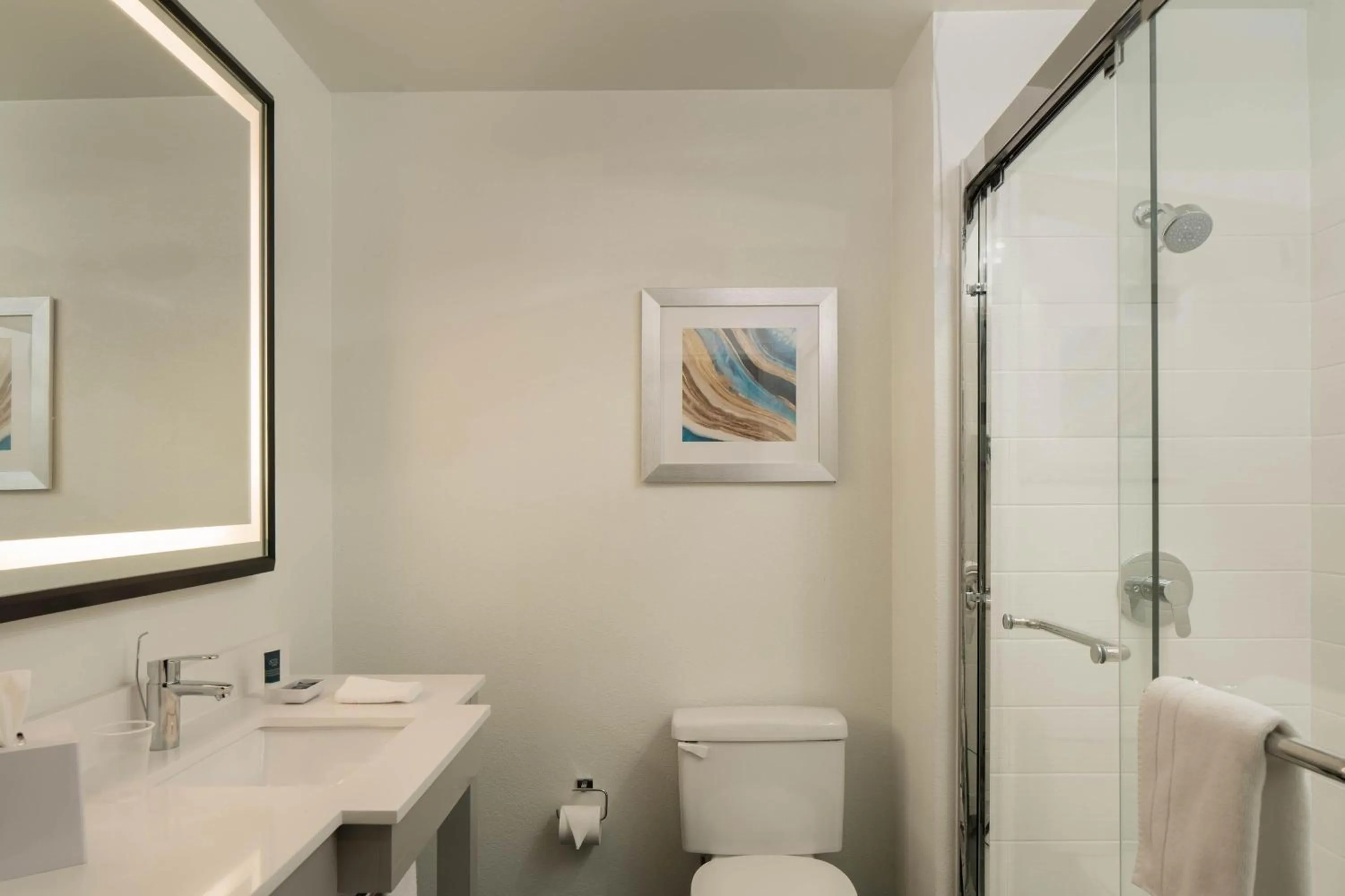 Bathroom in Four Points by Sheraton Dallas Arlington Entertainment District
