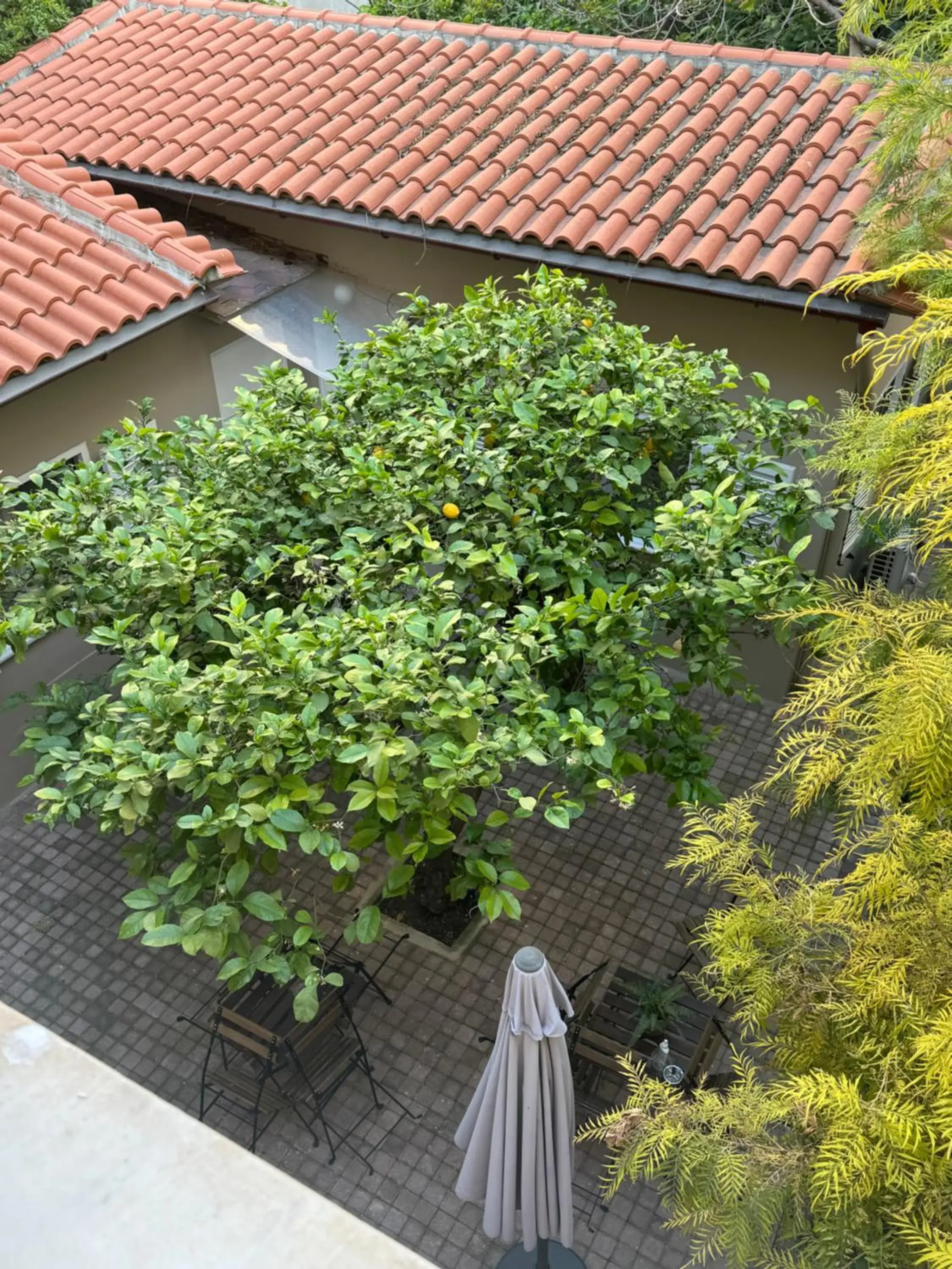Garden view in The Koukaki Residence Garden view in The Koukaki Residence