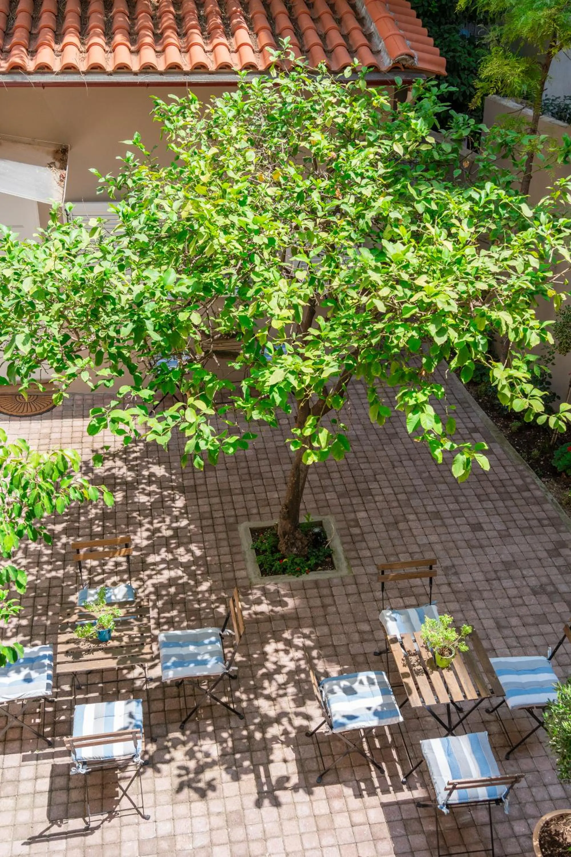 Garden in The Koukaki Residence