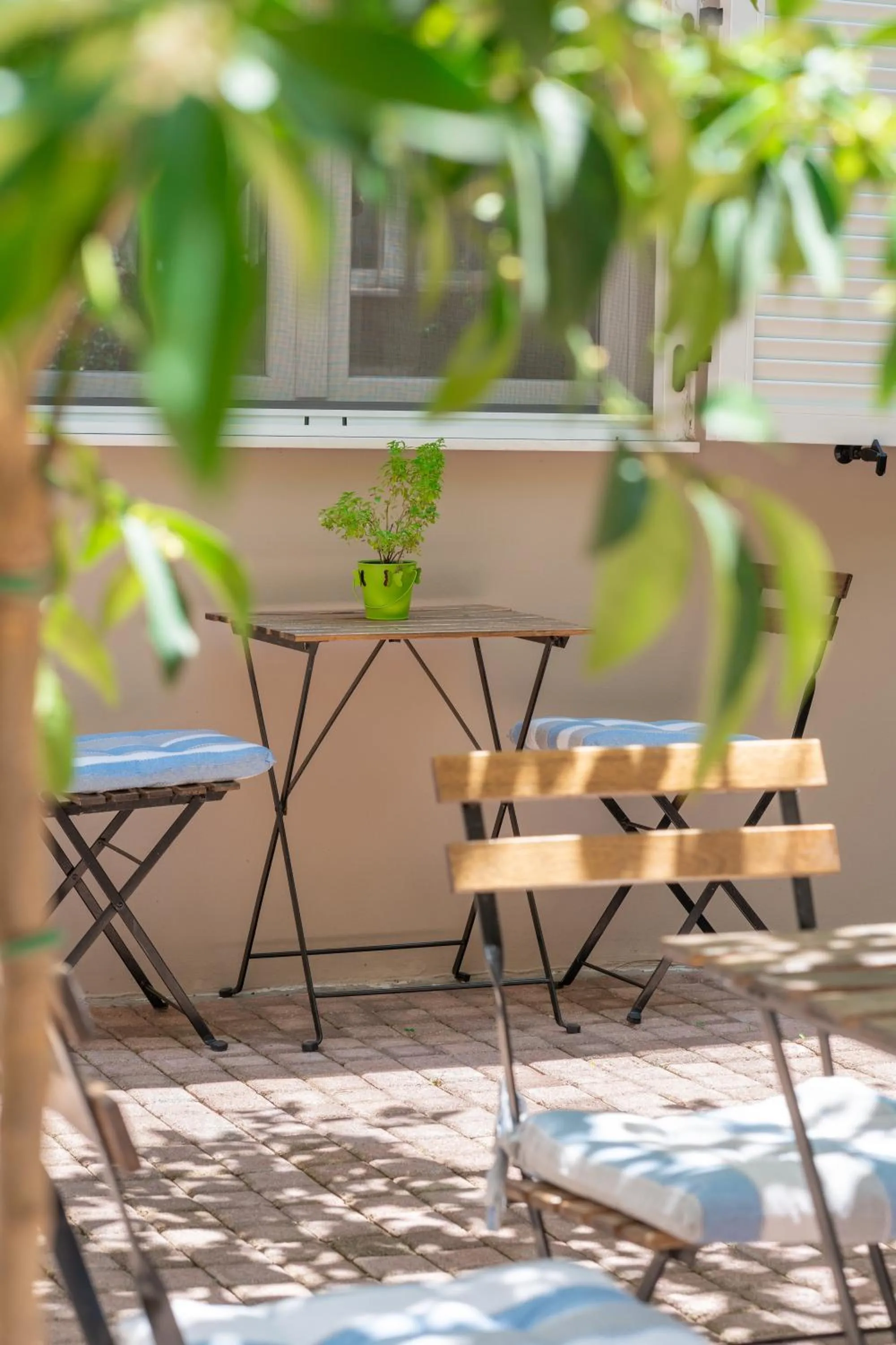 Spring in The Koukaki Residence